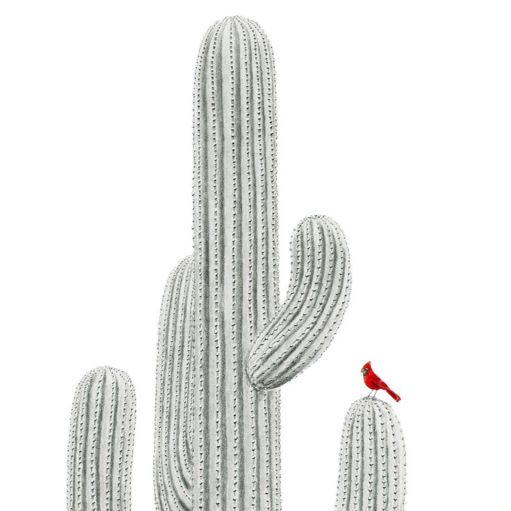 Saguaro's Leaf-Websitecrop.jpg