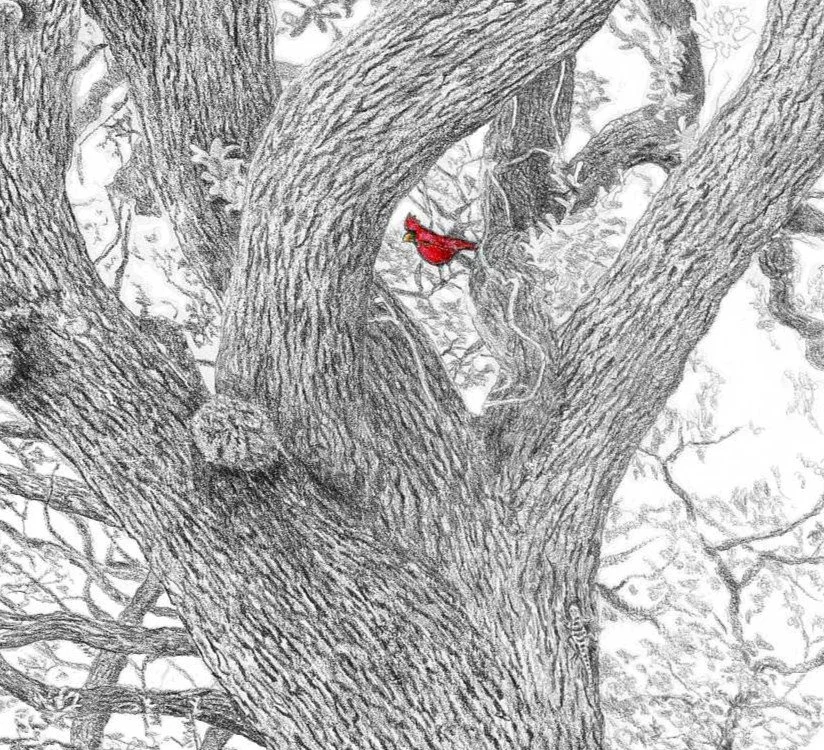 Ages-Hence Part 1-Website Crop 1.jpg