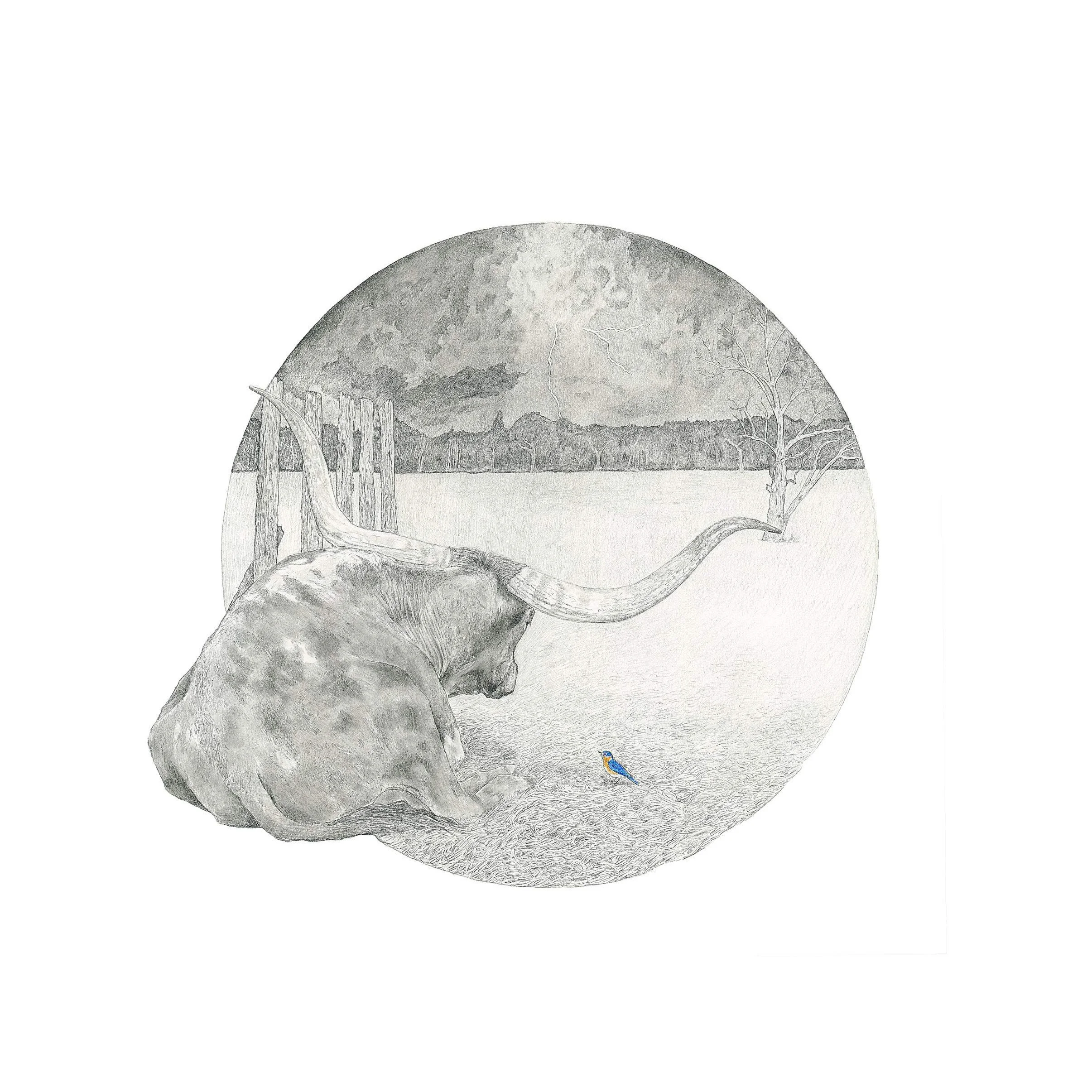 Whether the Storm-Websitesquare.jpg