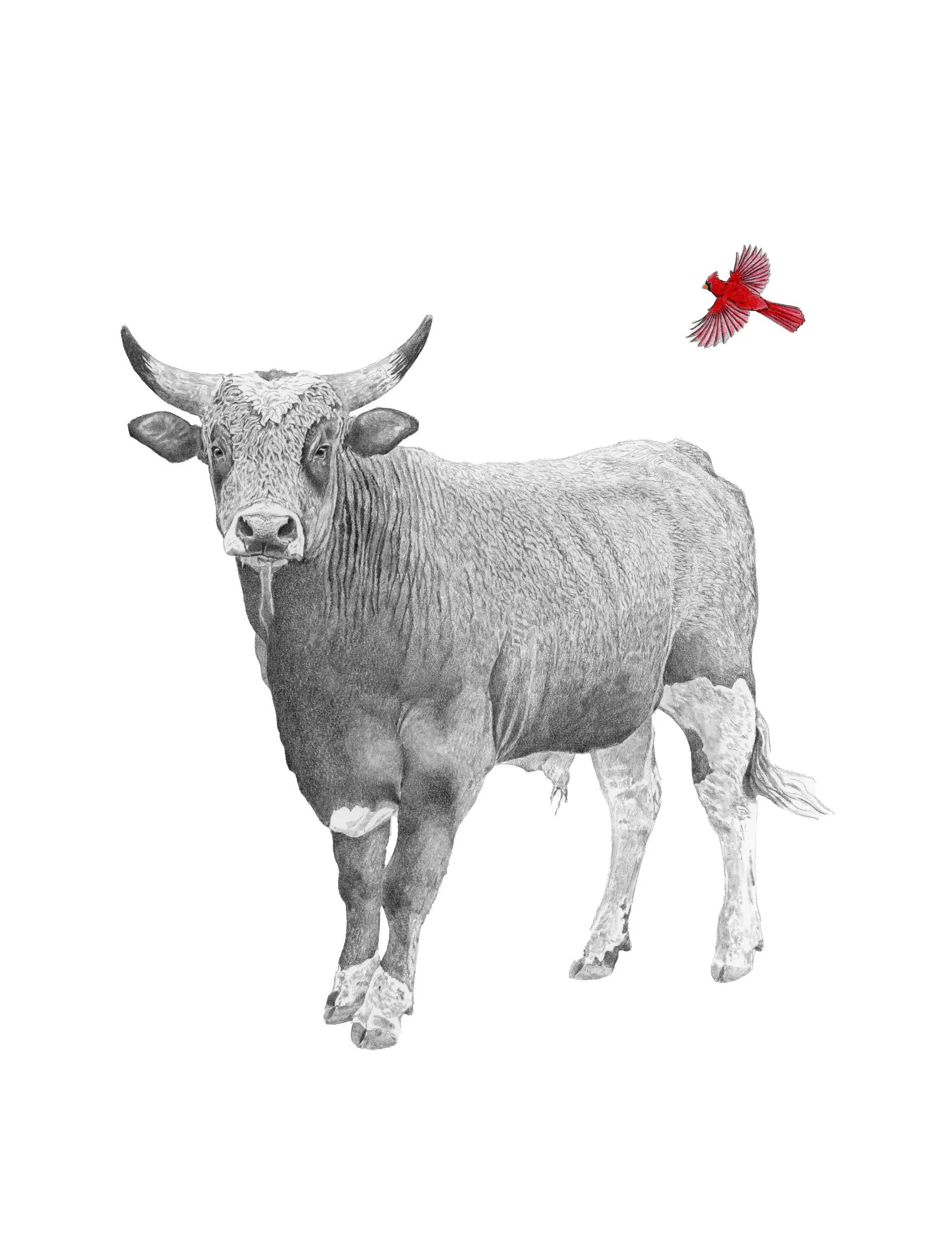 Under the Red-Website.jpg