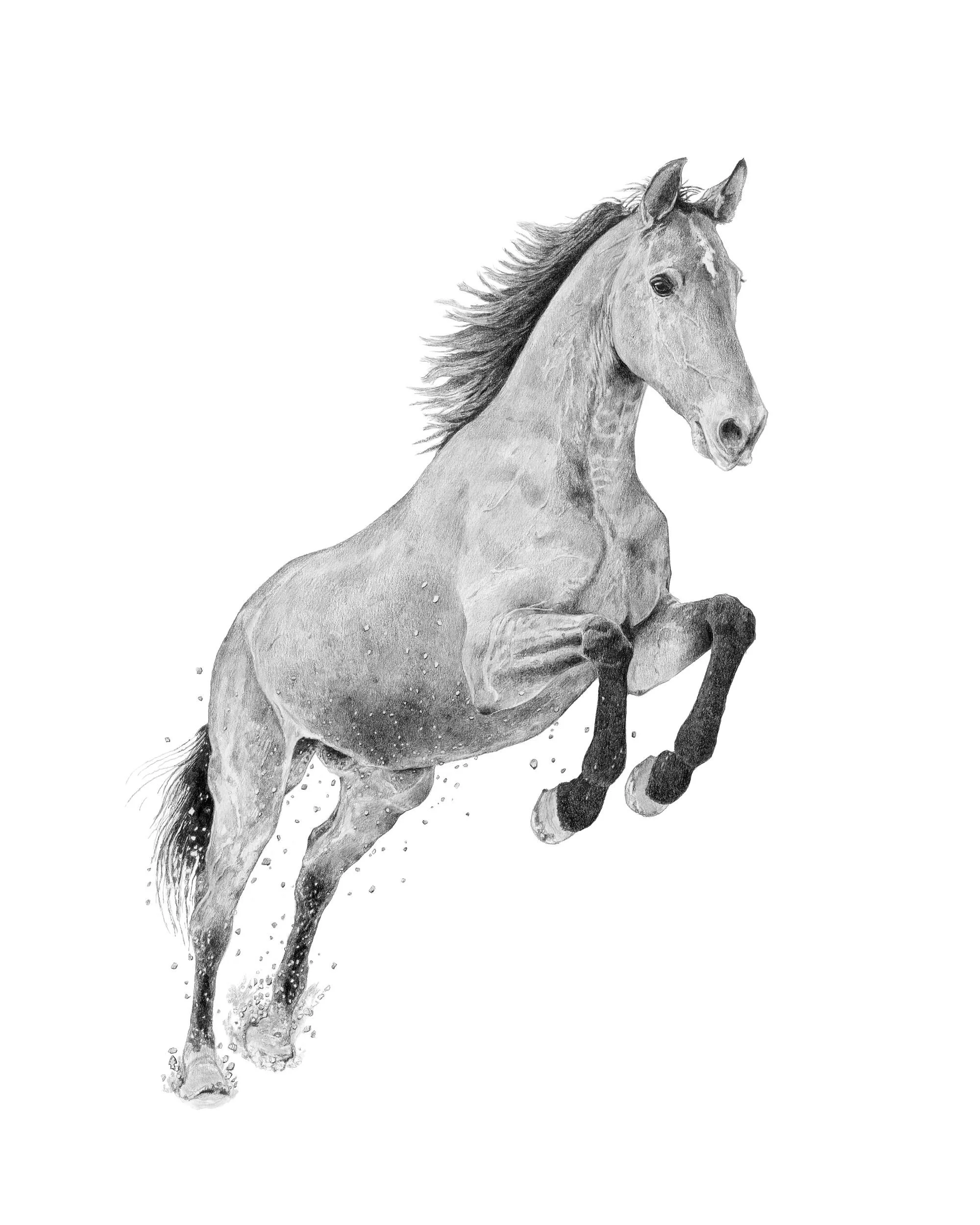 Faith Leap-Website.jpg