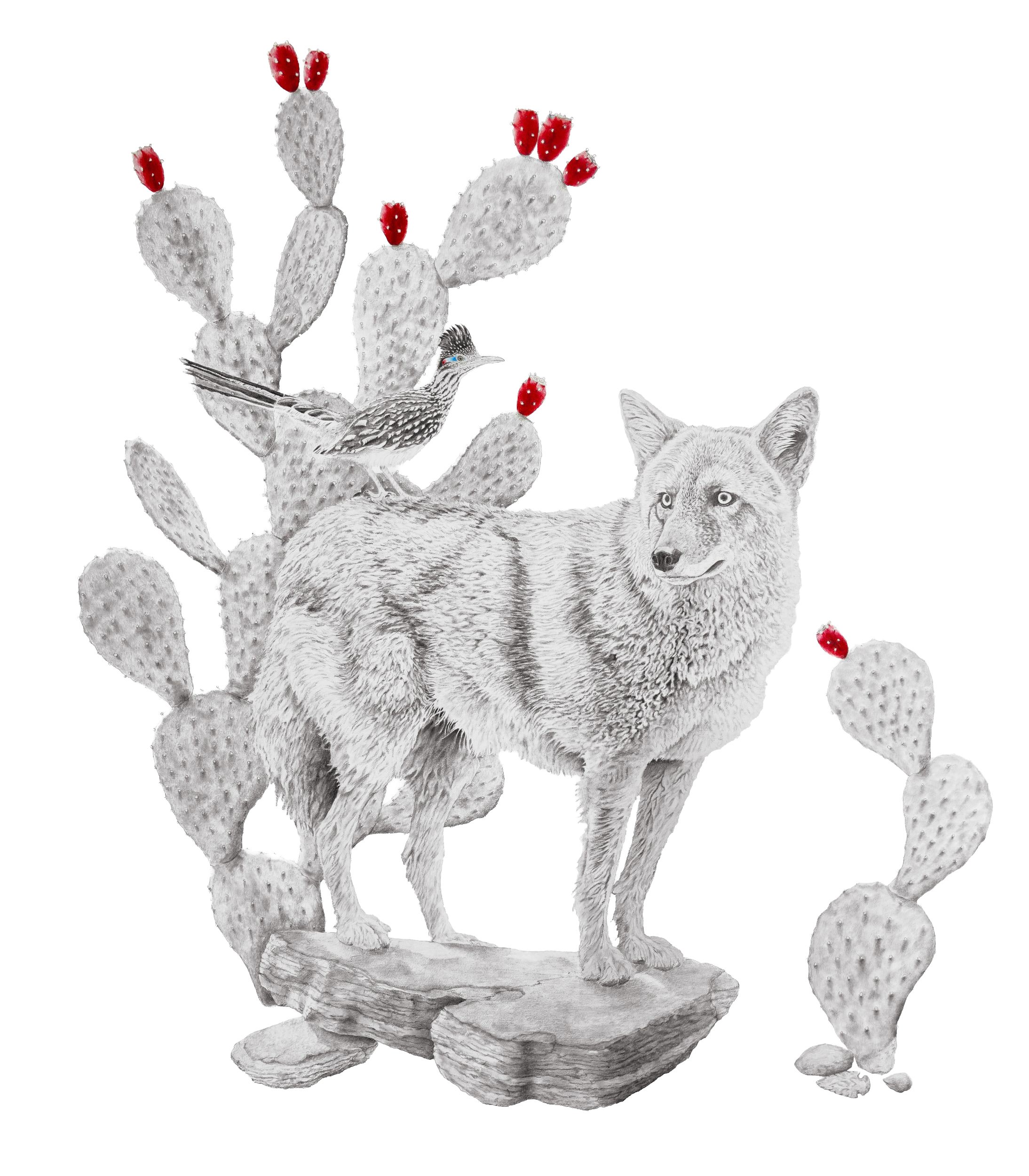 Somewhere in the Desert- Website.jpg