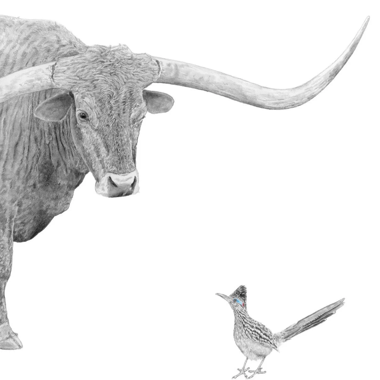 Dust and Glow-Website crop 2.jpg