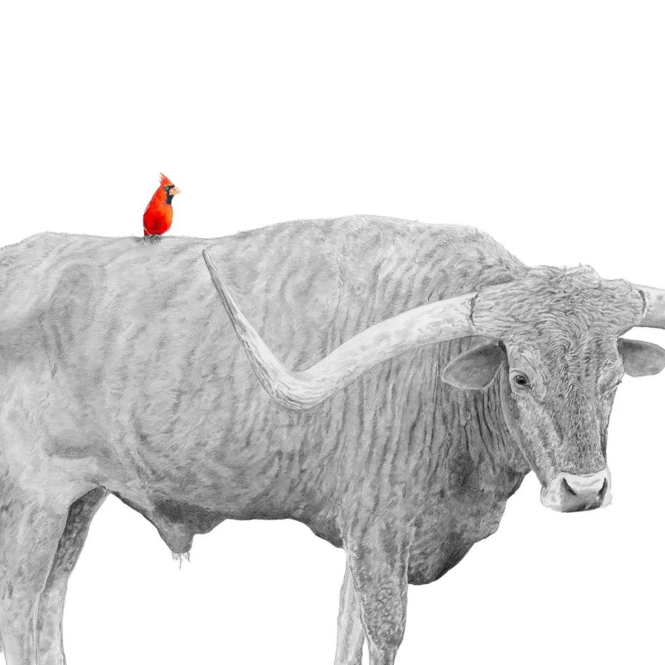 Dust and Glow-Websitecrop1.jpg