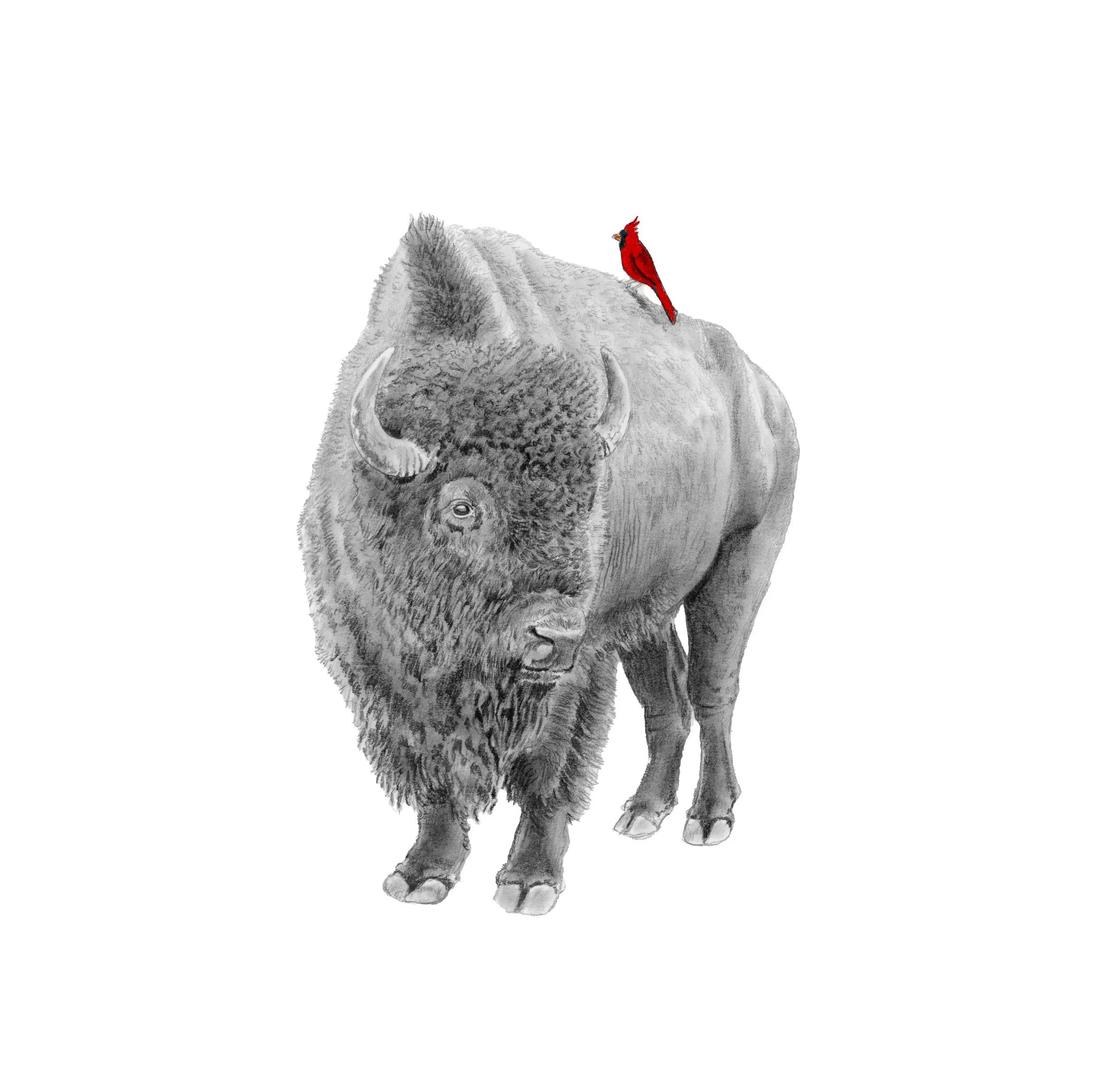 Red Guardian-Websitesquare.jpg