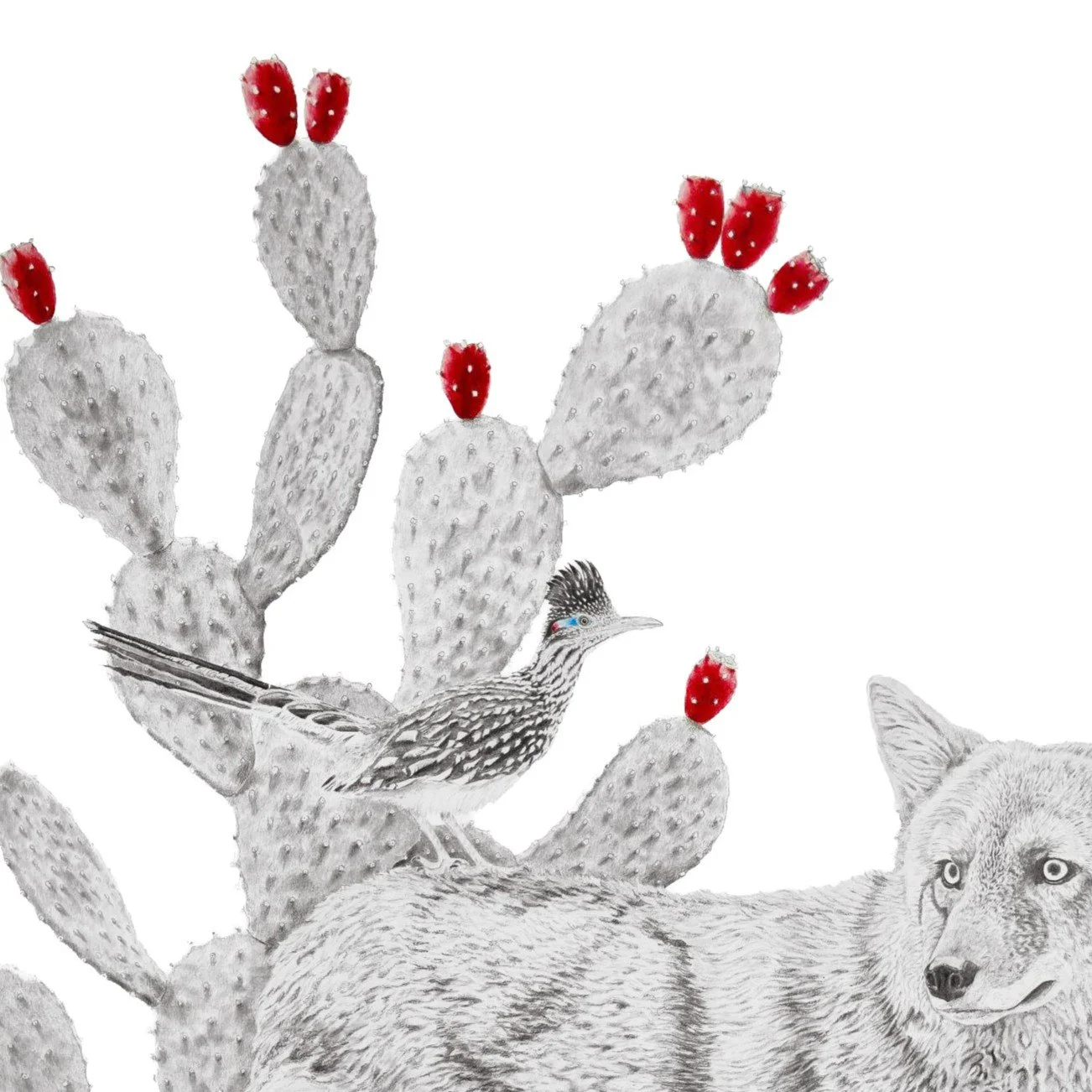 Somewhere in the Desert- Websitecrop.jpg