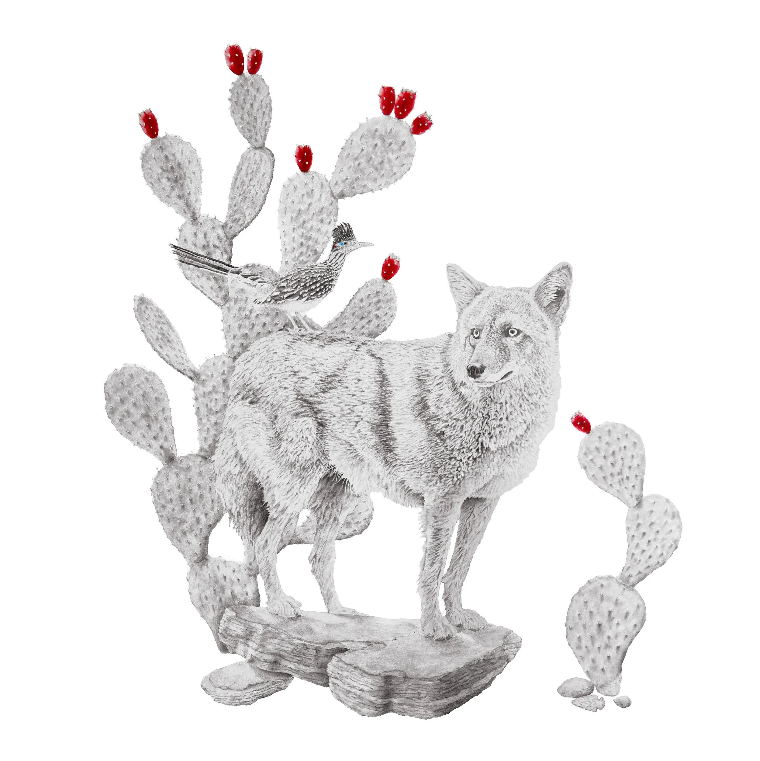 Somewhere in the Desert- Websitesquare.jpg