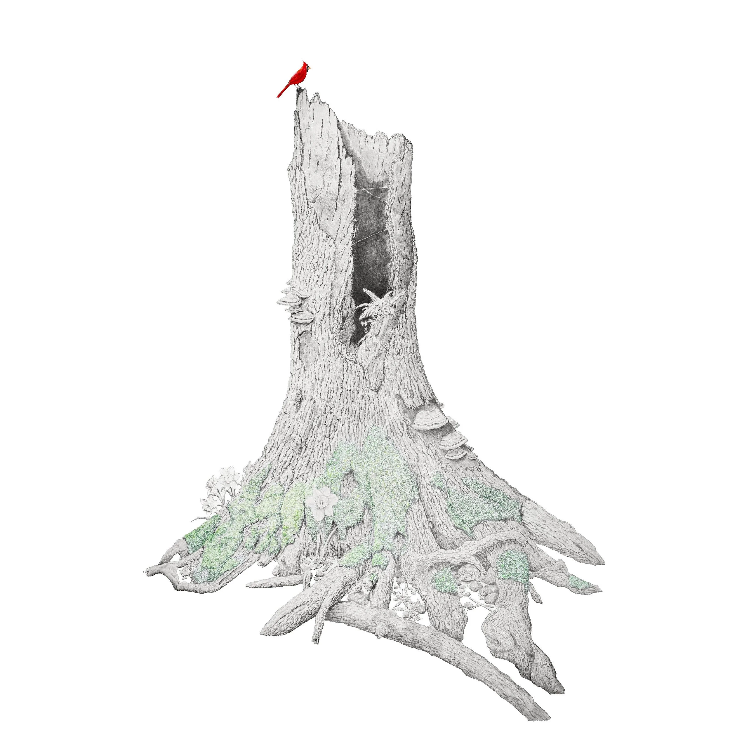 Peace, be Still-Websitesquare.jpg