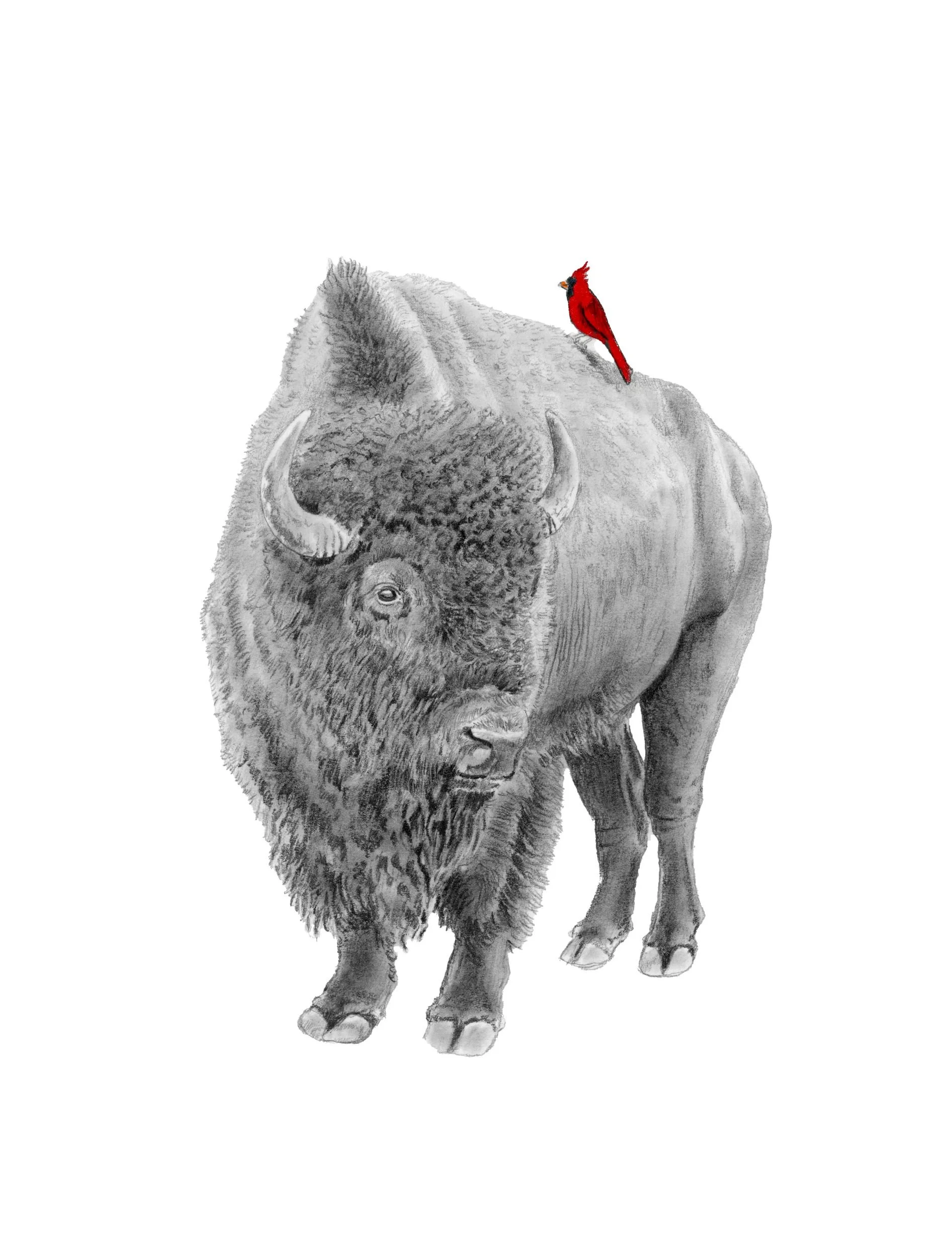 Red Guardian-Website.jpg