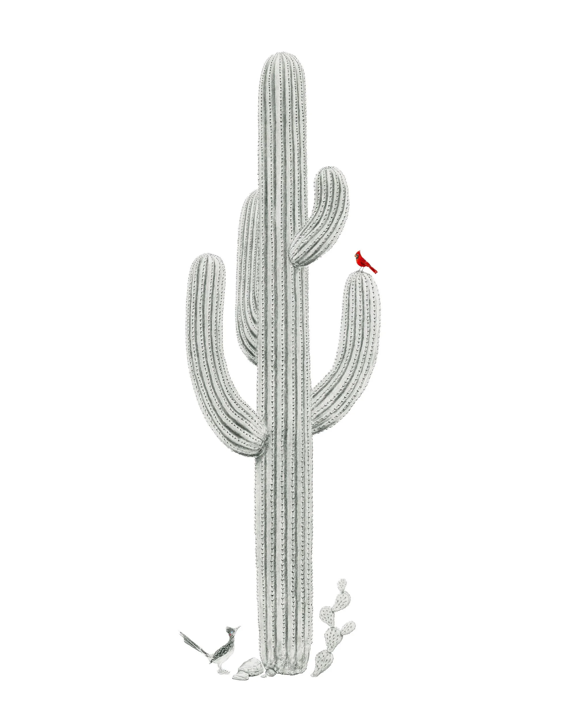 Saguaro's Leaf-Website.jpg