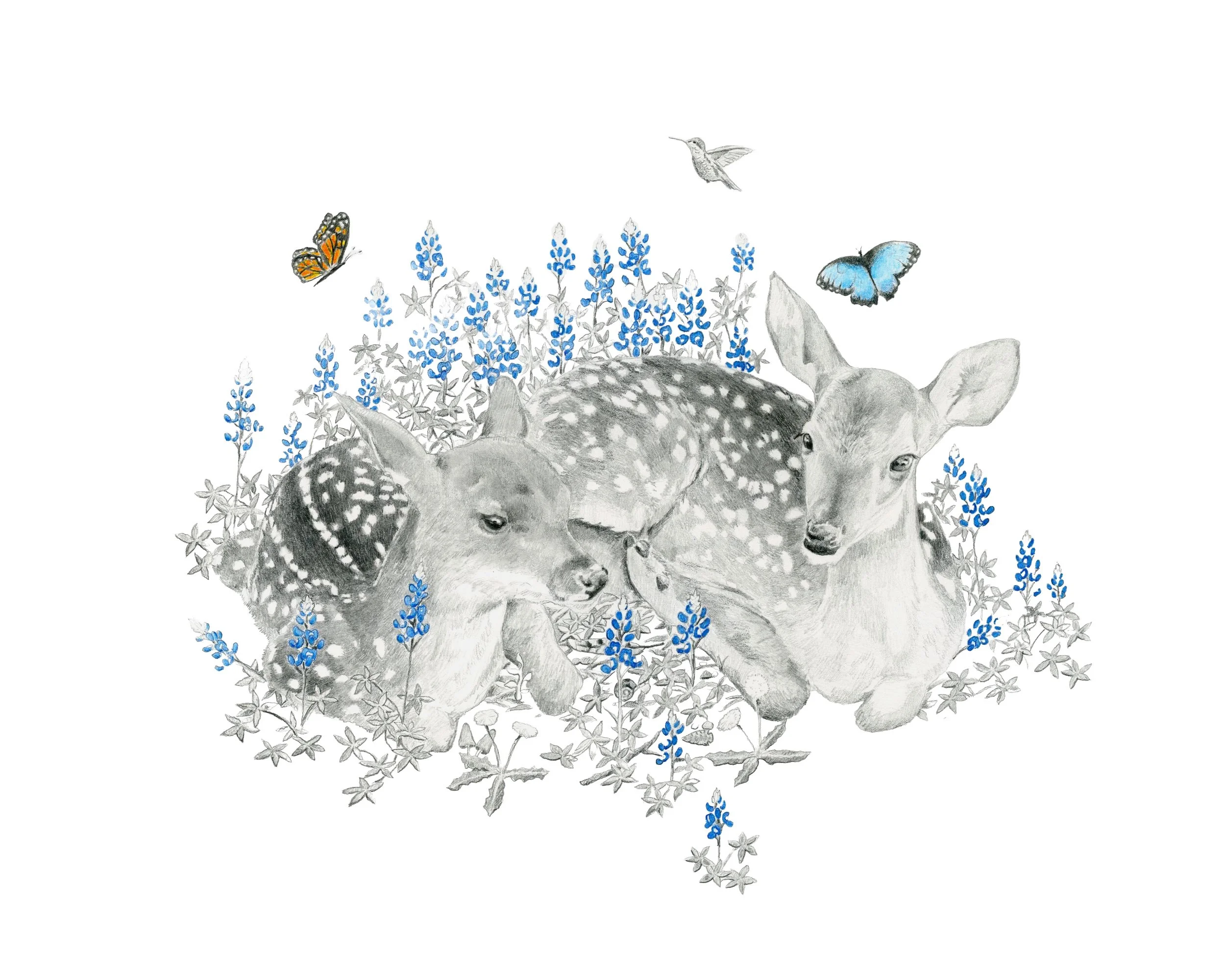 Nature's Bassinet -Website.jpg