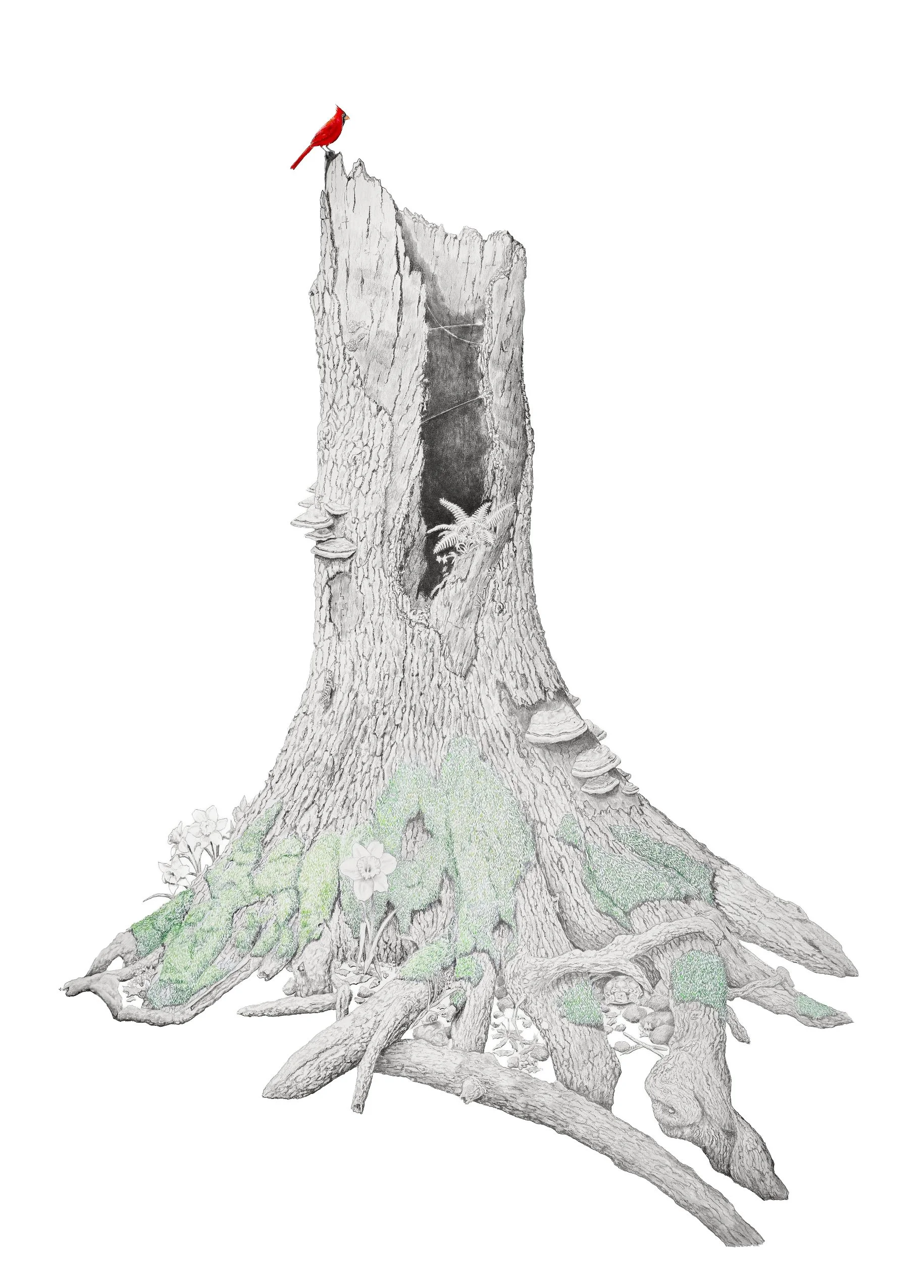 Peace, be Still-Website.jpg