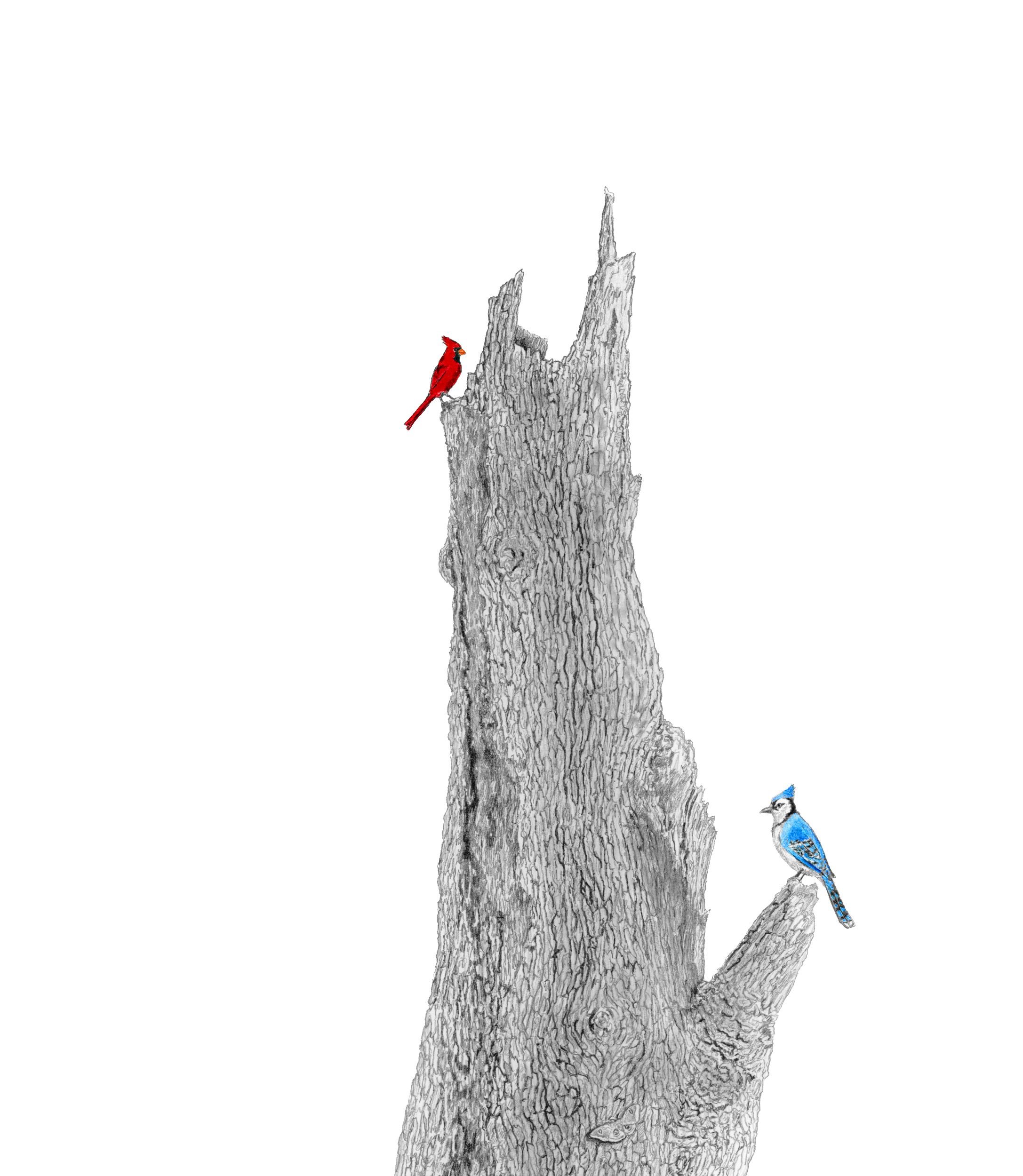 Forget Me Not Part 1Website.jpg