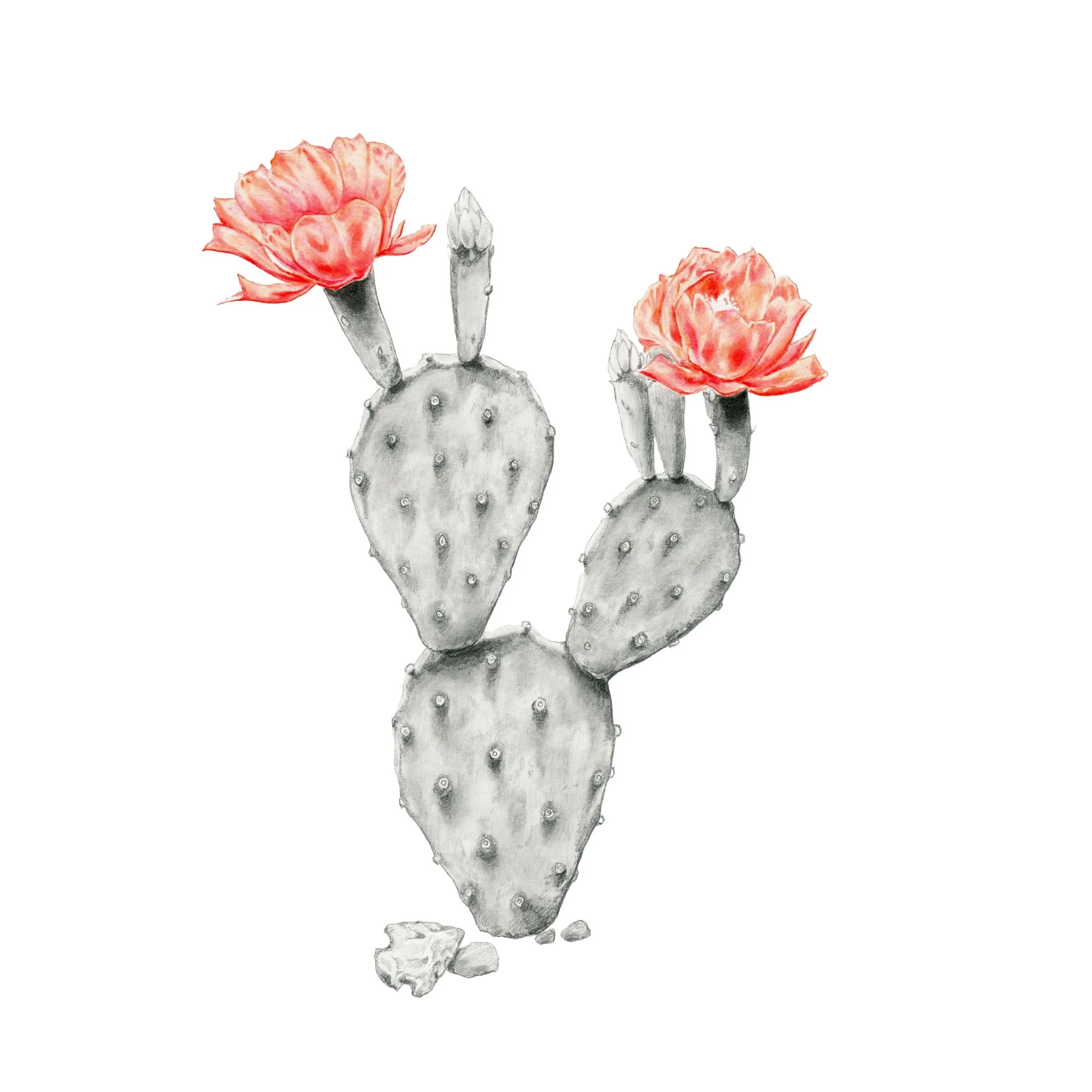 Desert Candle Main Print matte square.jpg