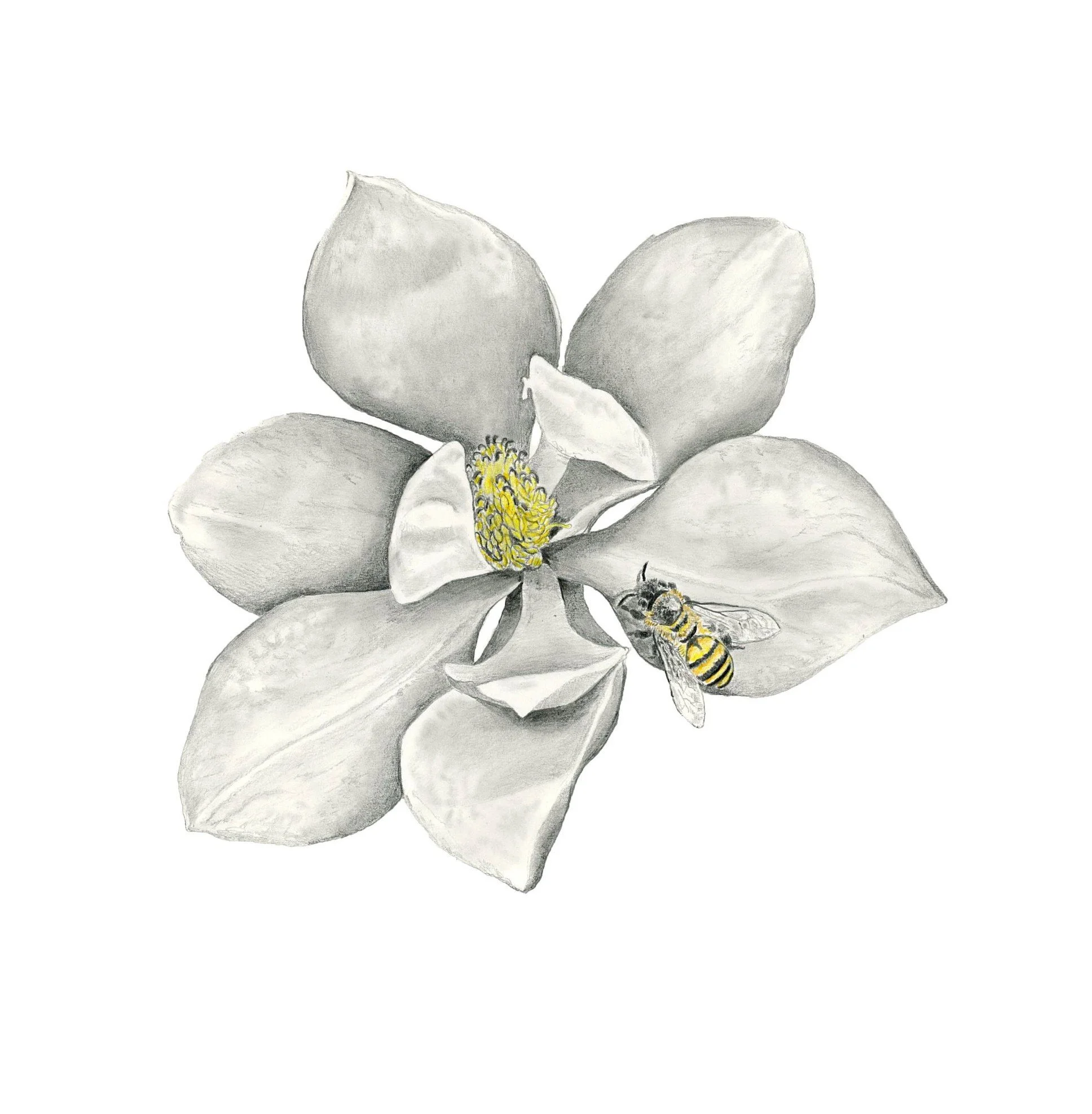 Bee Grateful-Website crop.jpg