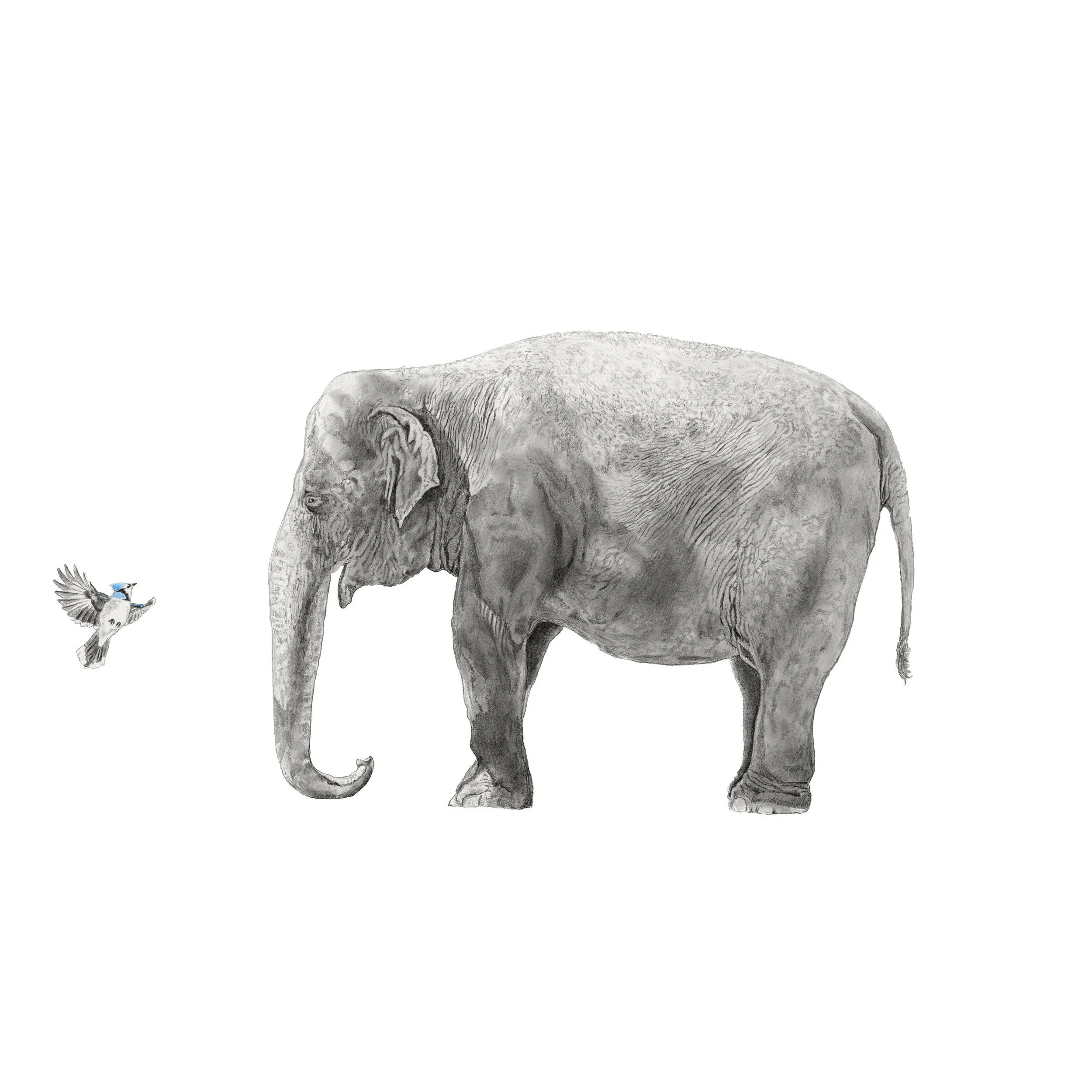 Unexpected Encounter-Websitesquare.jpg