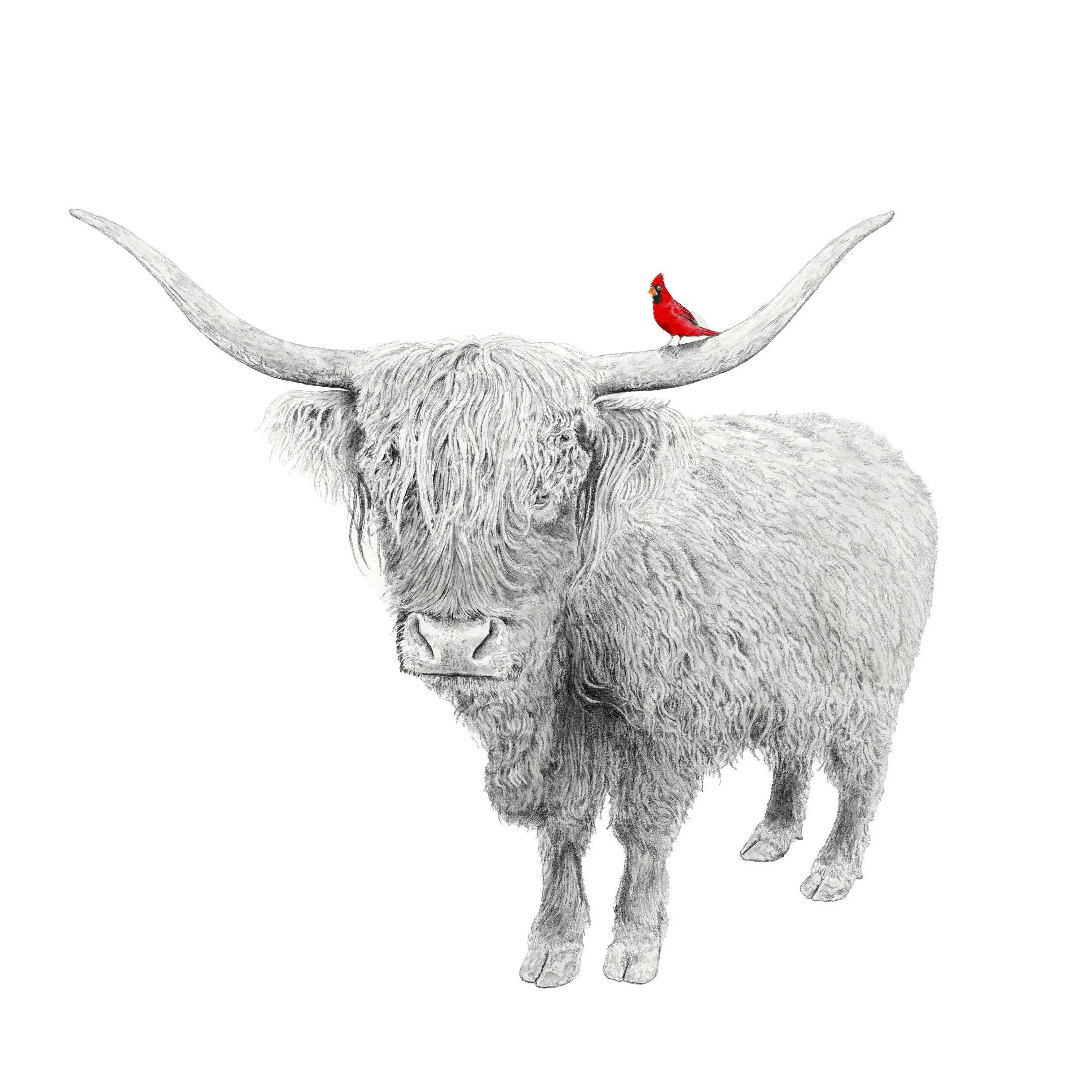 Highland Charm -Websitesquare.jpg