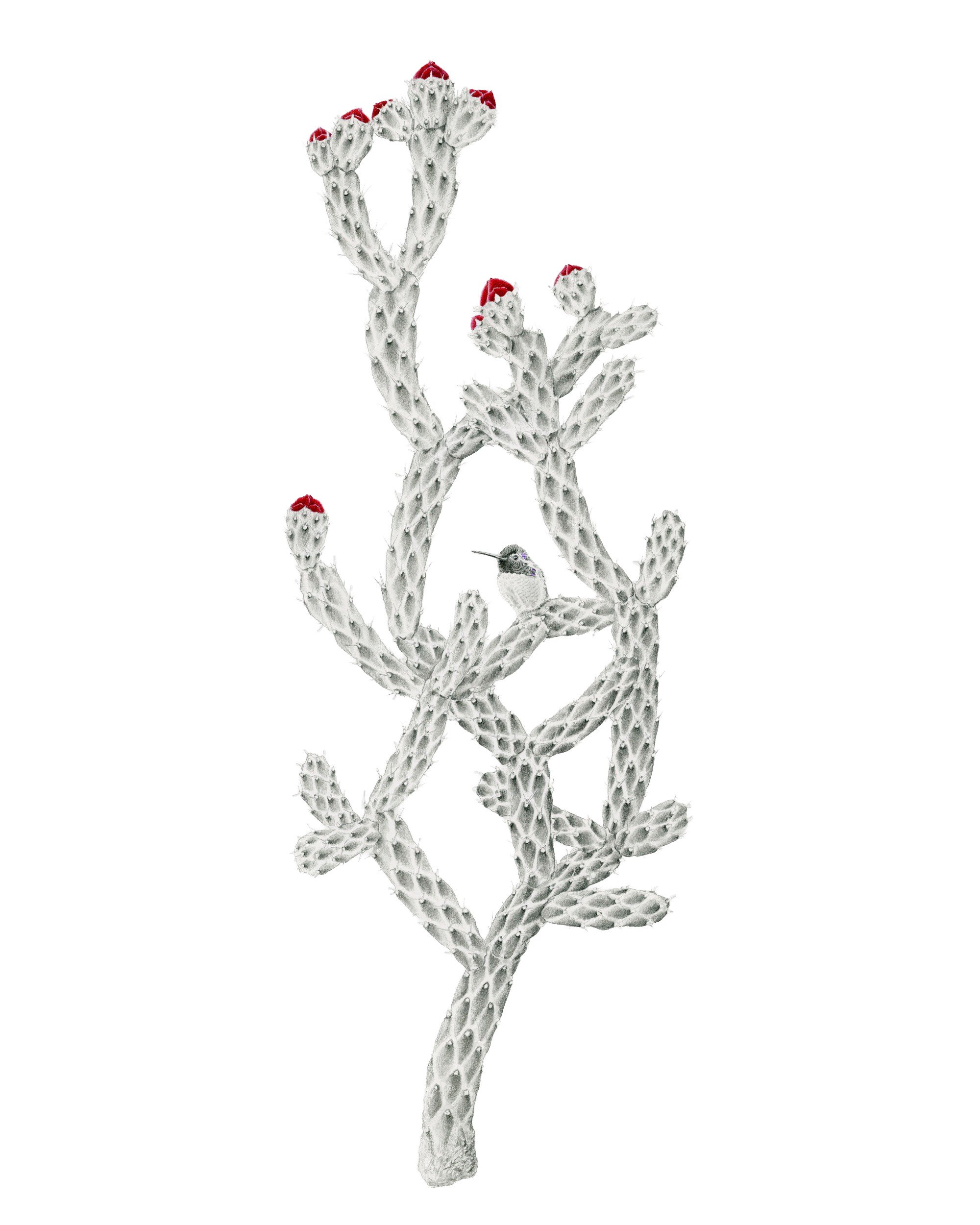 Patiently Waiting-Website.jpg