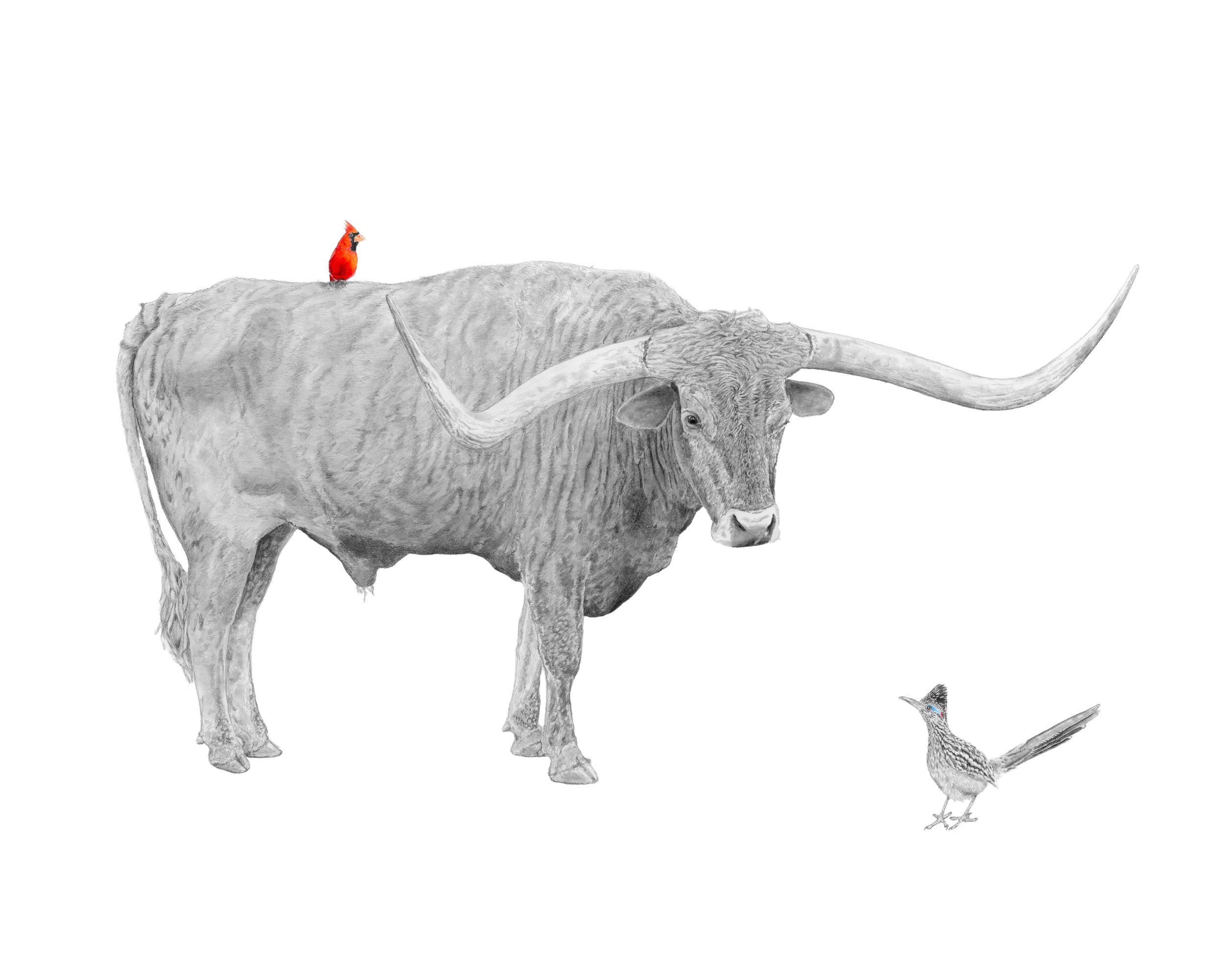 Dust and Glow-Website.jpg