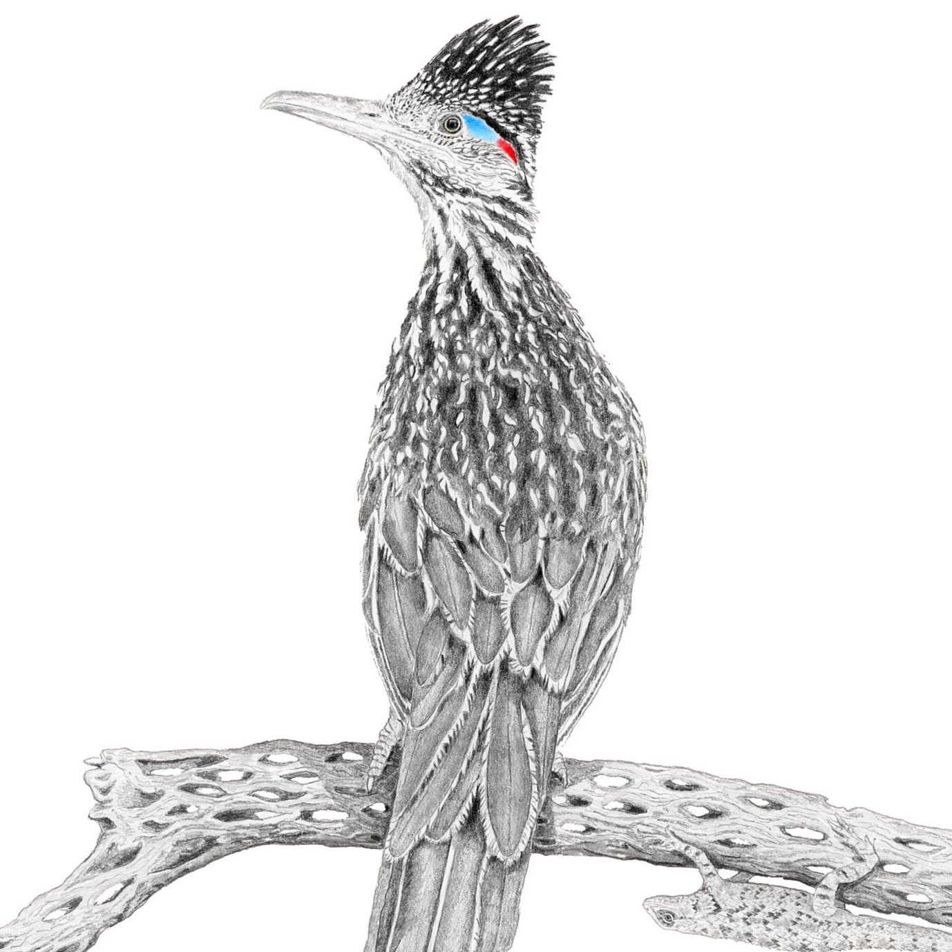 Desert Waltz-Websitecrop2.jpg