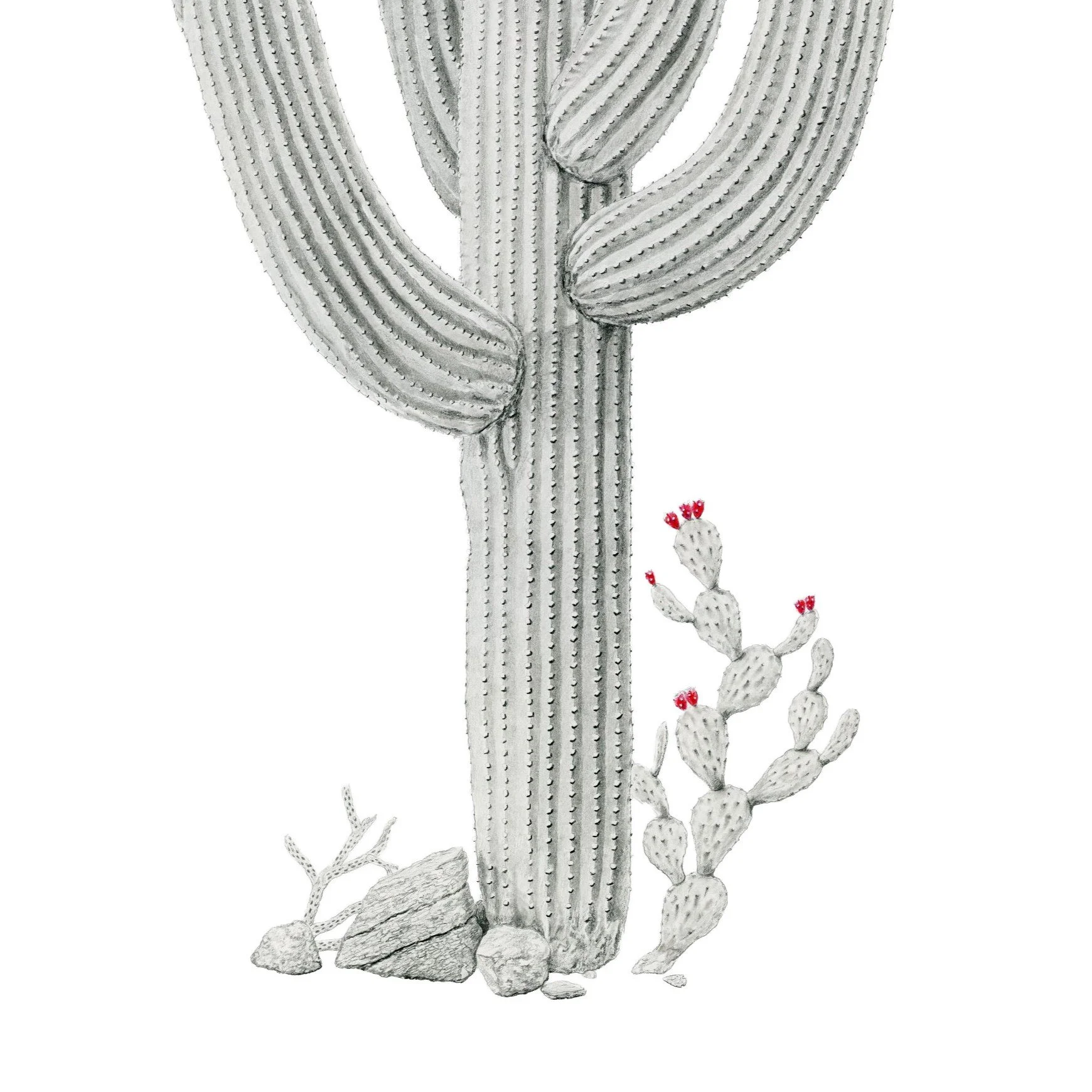 Centuries View -Website crop 2.jpg