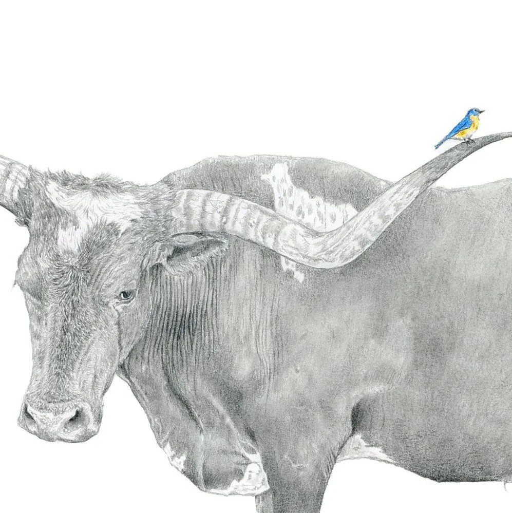 Amigos-Website Crop.jpg