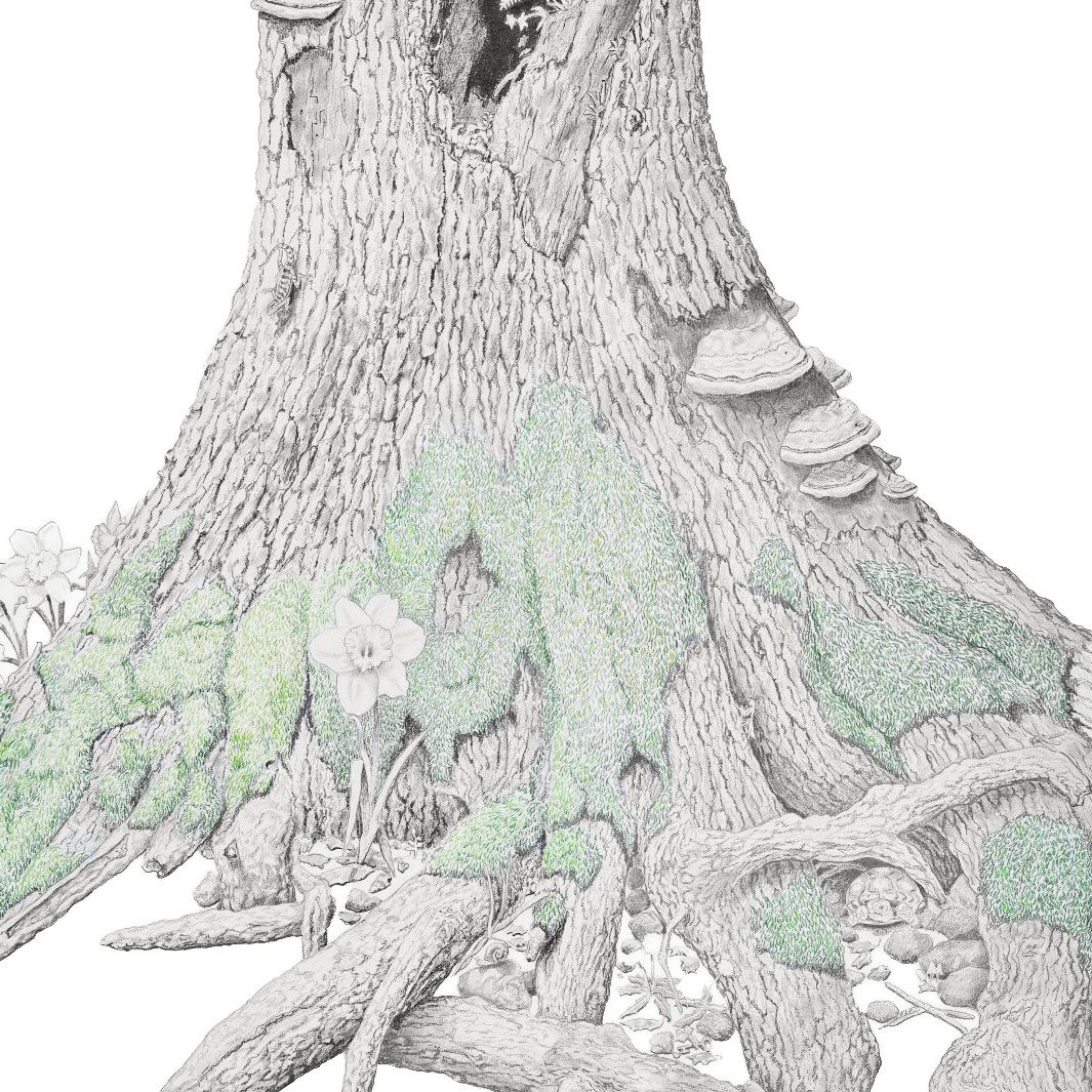 Peace, be Still-Websitecrop2.jpg