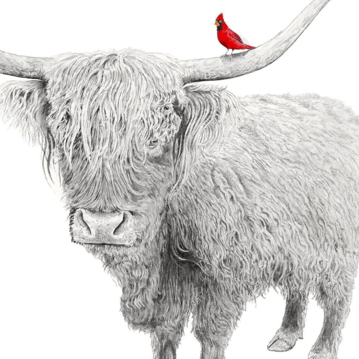 Highland Charm -Websitecrop.jpg