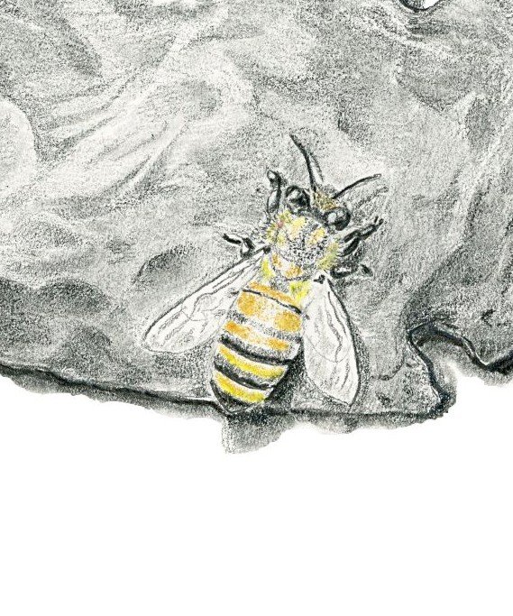 Beefore Main Print Website bee.jpg