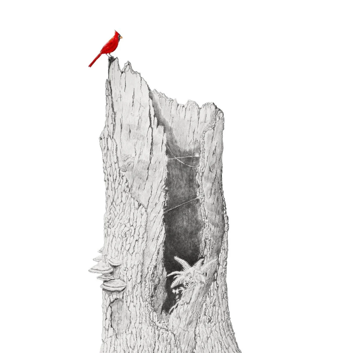 Peace, be Still-Websitecrop1.jpg