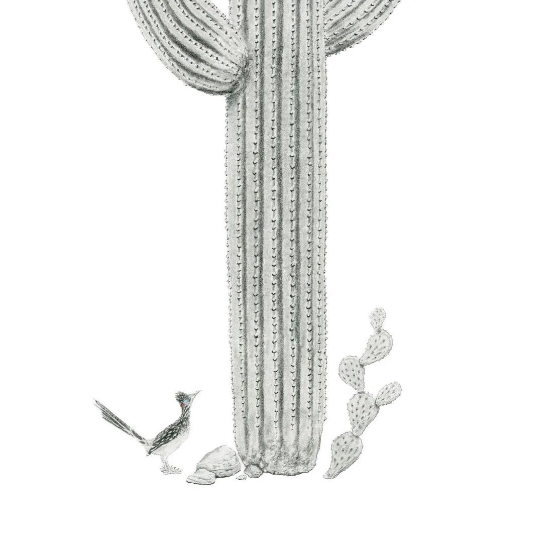 Saguaro's Leaf-Websitecrop2.jpg