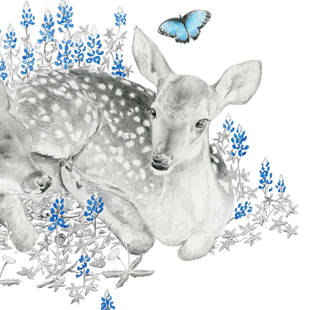 Nature's Bassinet -Websitecrop.jpg