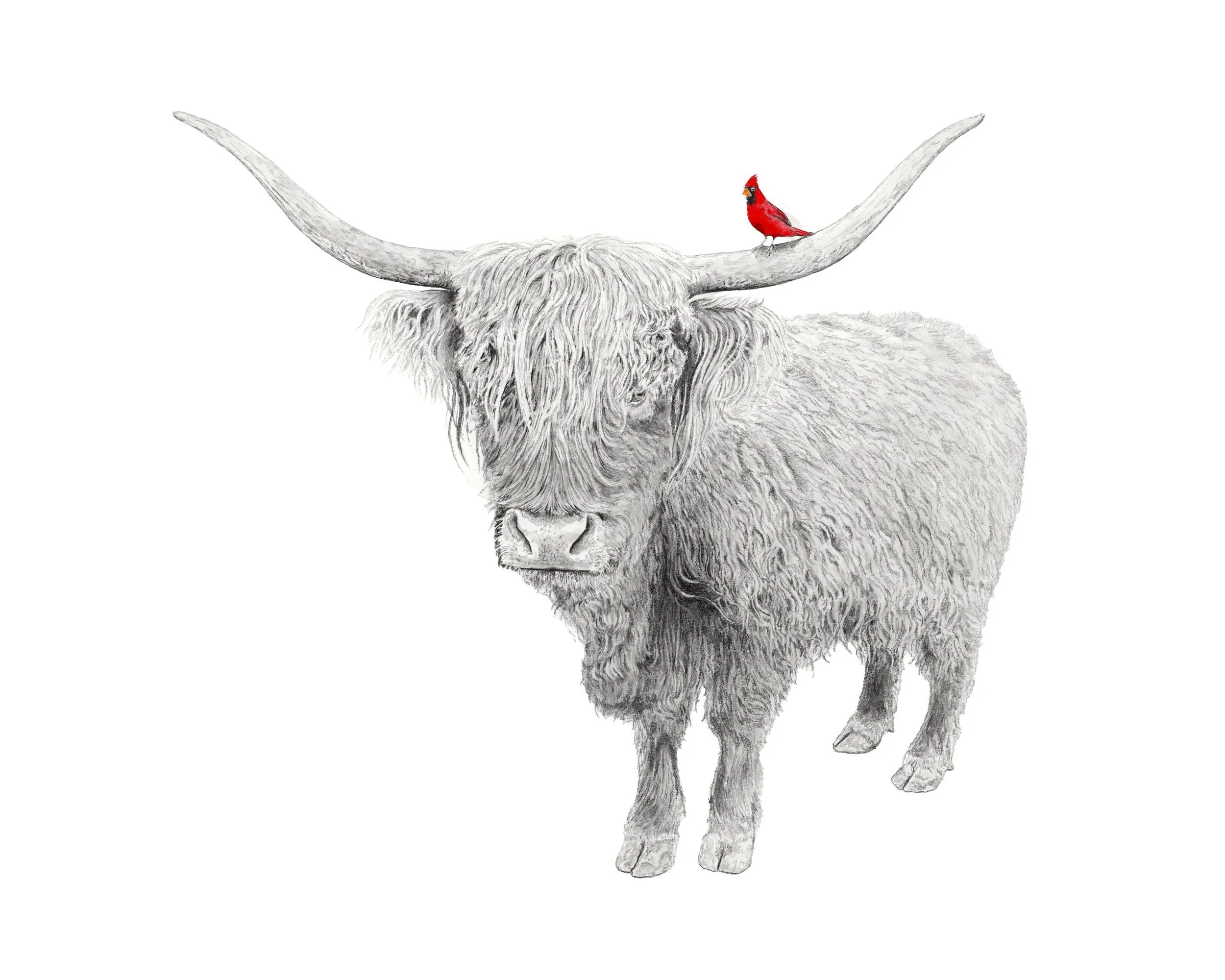 Highland Charm -Website.jpg