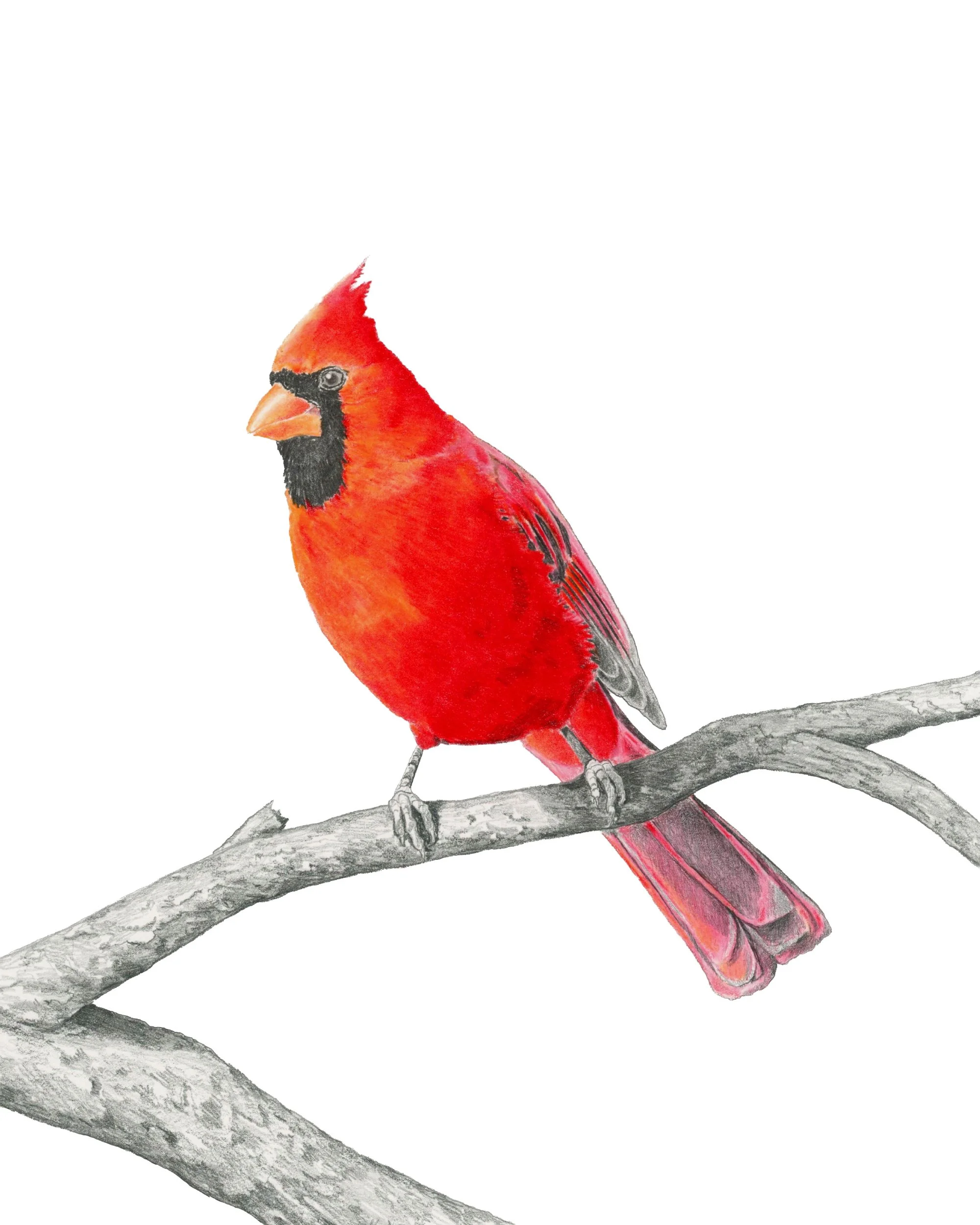 Outside my Window- Website.jpg