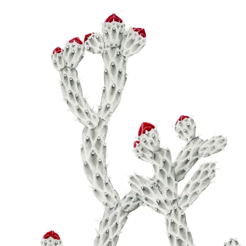 Patiently Waiting-Websitecrop 2.jpg