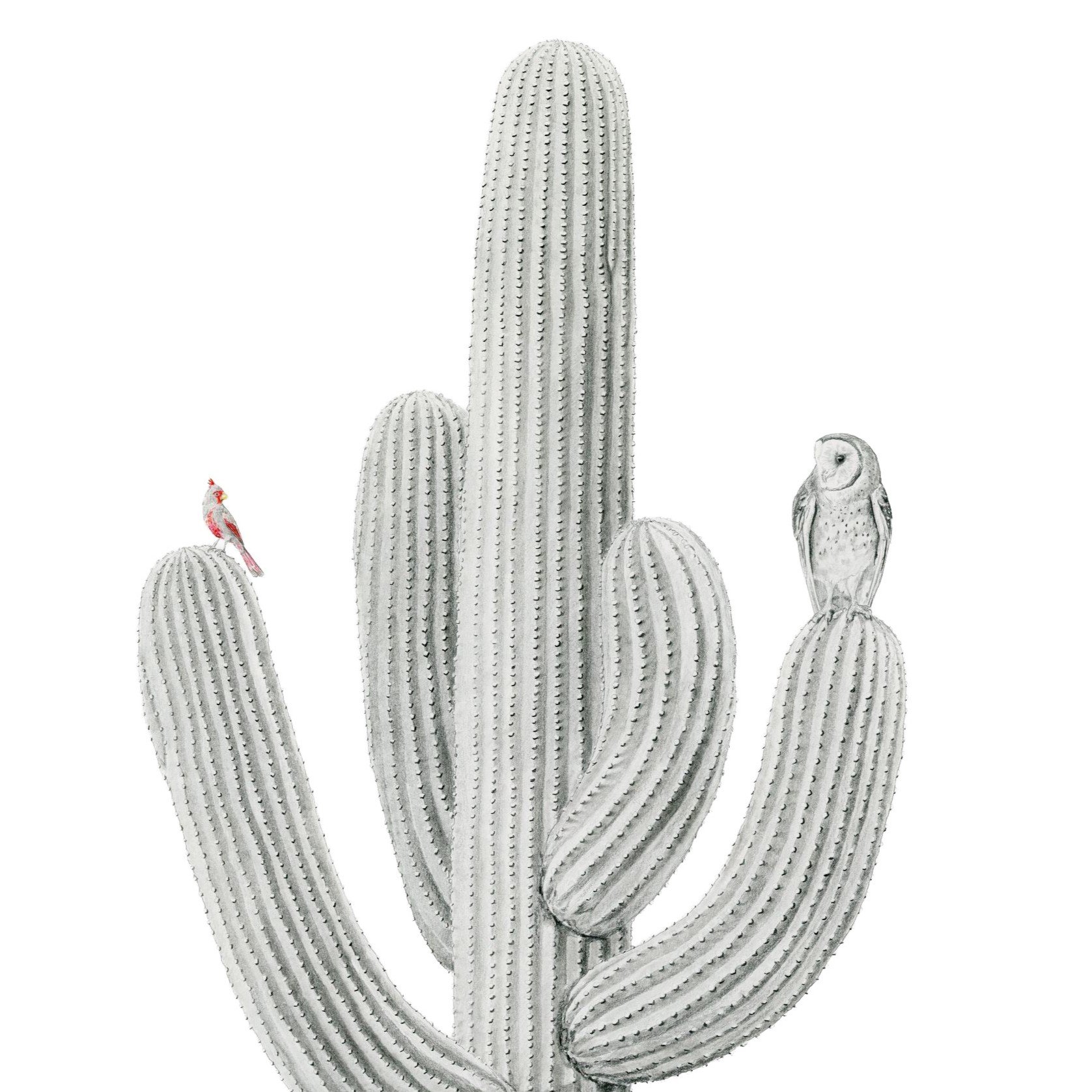 Centuries View -Website crop.jpg