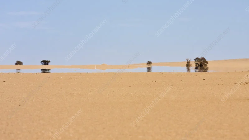 The Mirage of Black Justice in the USA