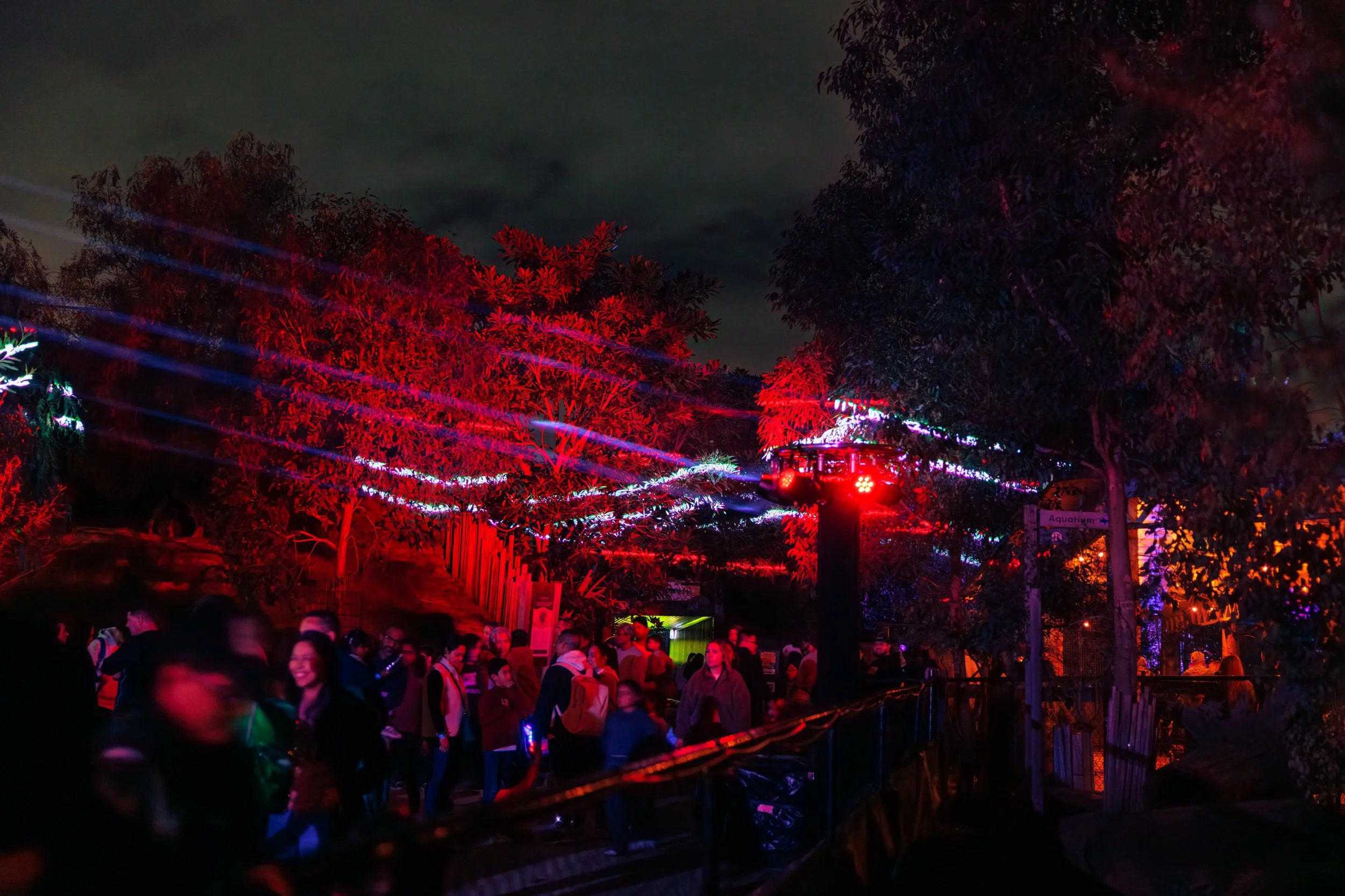 DPLR Glow 2025 38 Assemble Photography.jpg