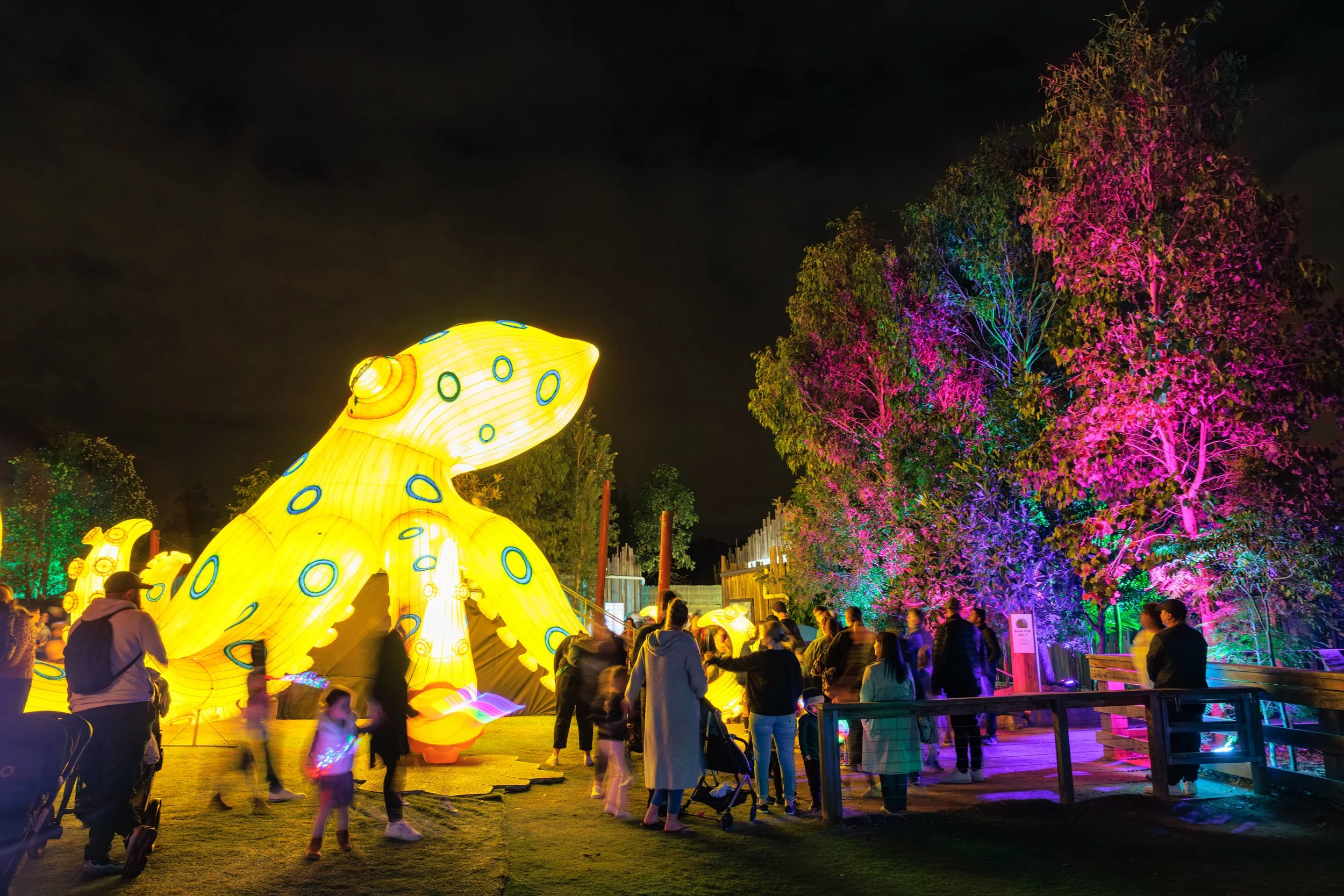 DPLR Glow 2025 21 Assemble Photography.jpg