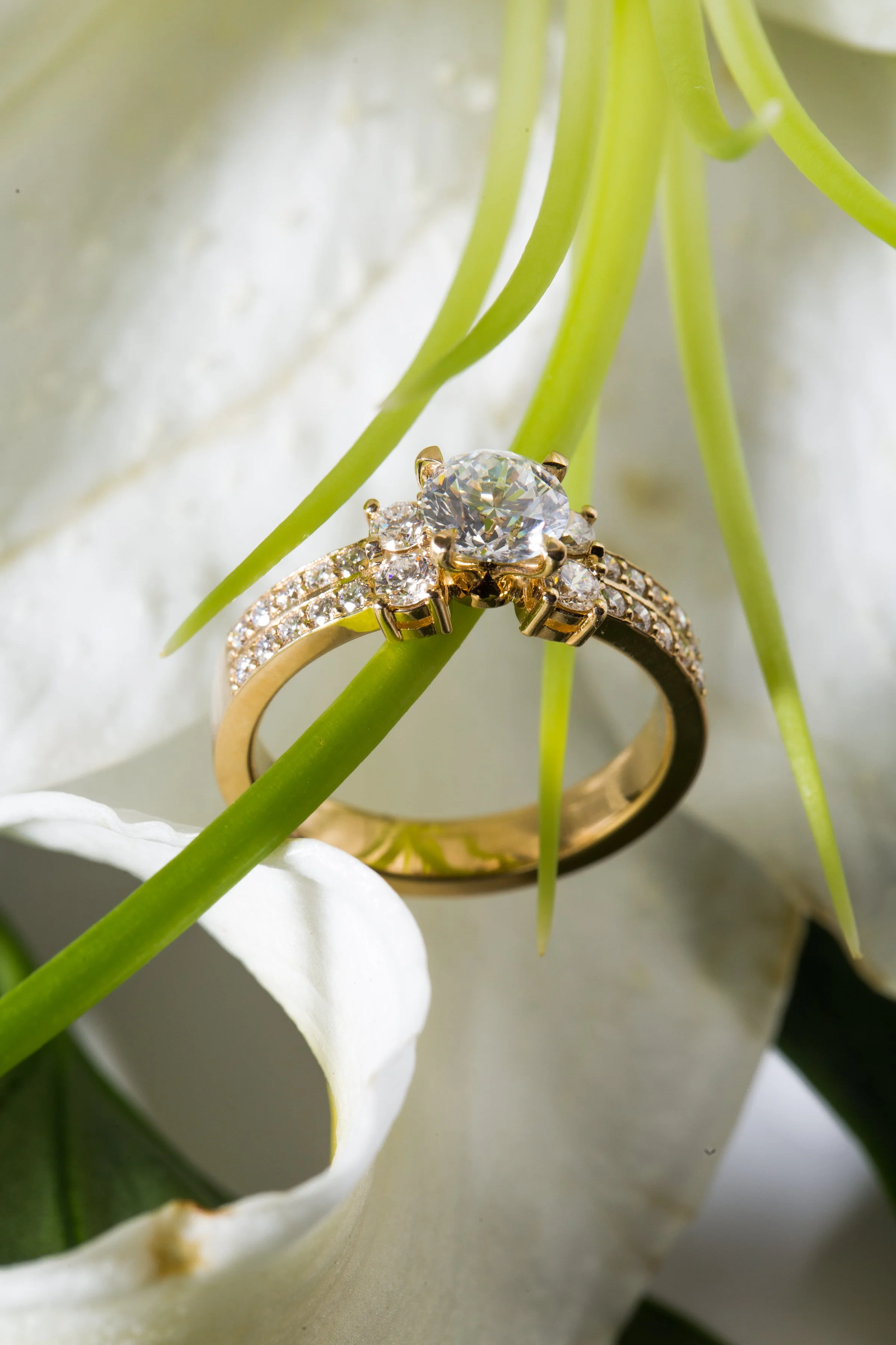 FTC Engagement-5714.JPG