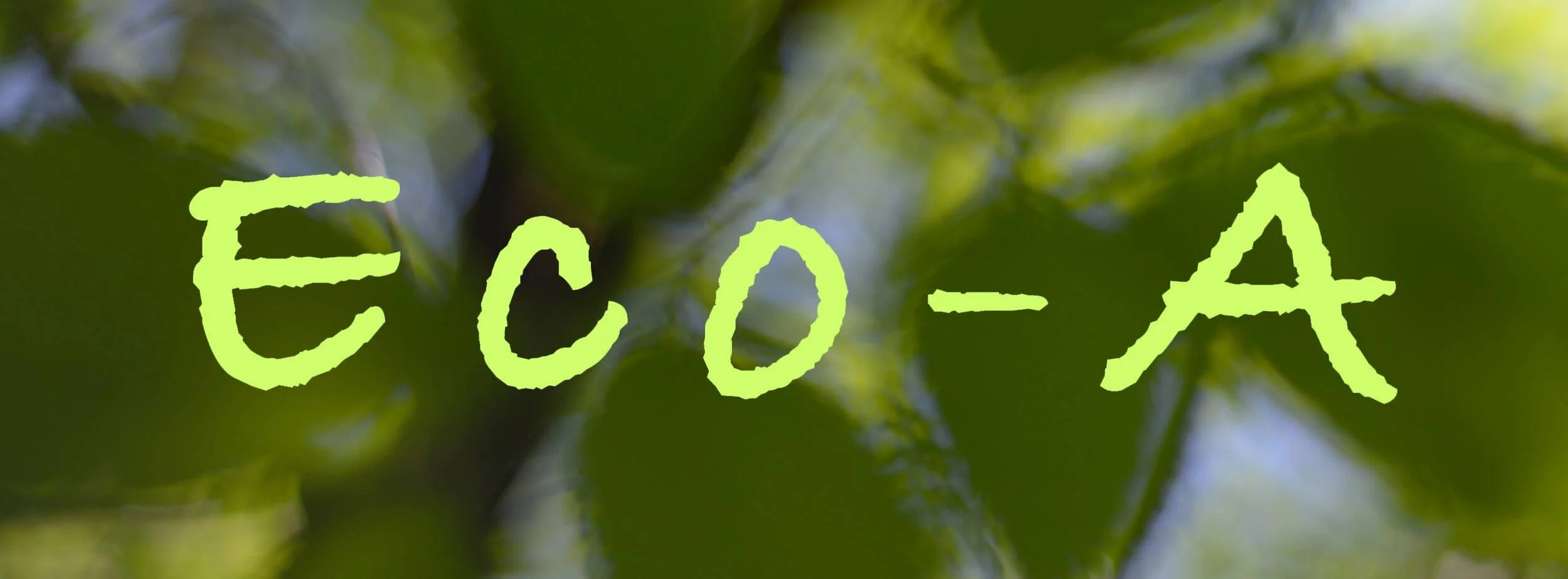 EcoA logo.jpg