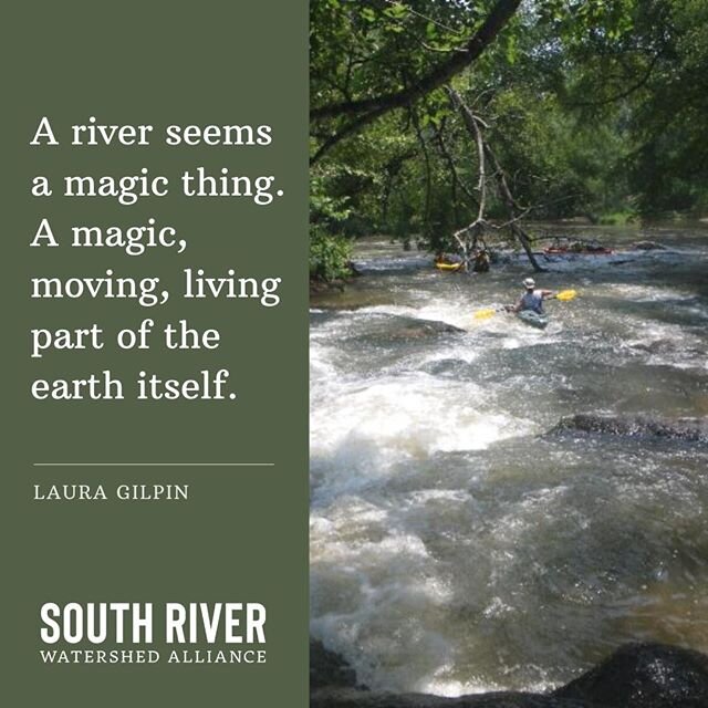 #AlbertShoals 🐟💦 Like SRWA on Facebook @SouthRiverWatershedAlliance #southriverga #SouthRiver #GA #ATLsouthriver #livingriver #freshwater Visit SouthRiverGA.org