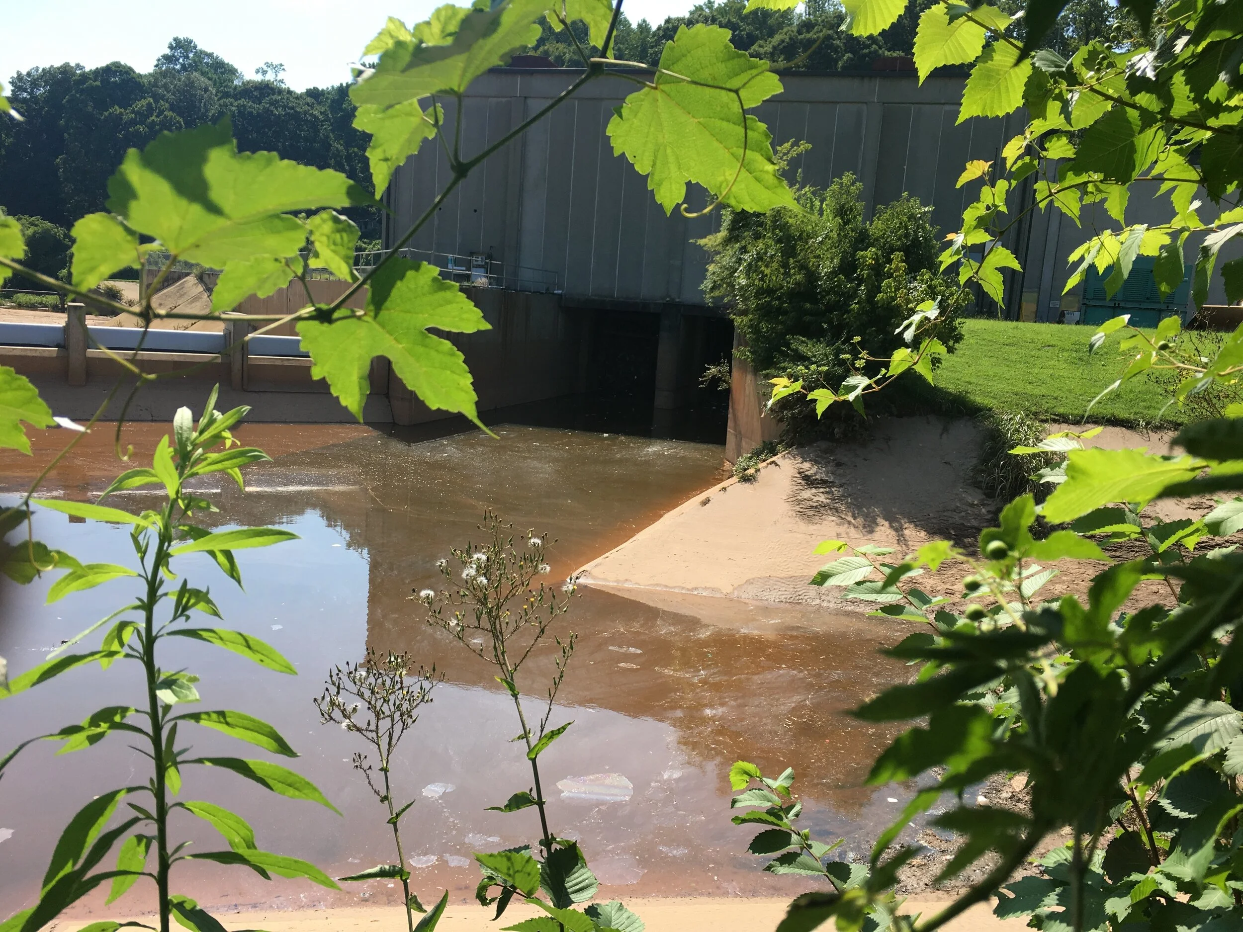 Public Hearing on Combined Sewage Overflow NPDES Permits