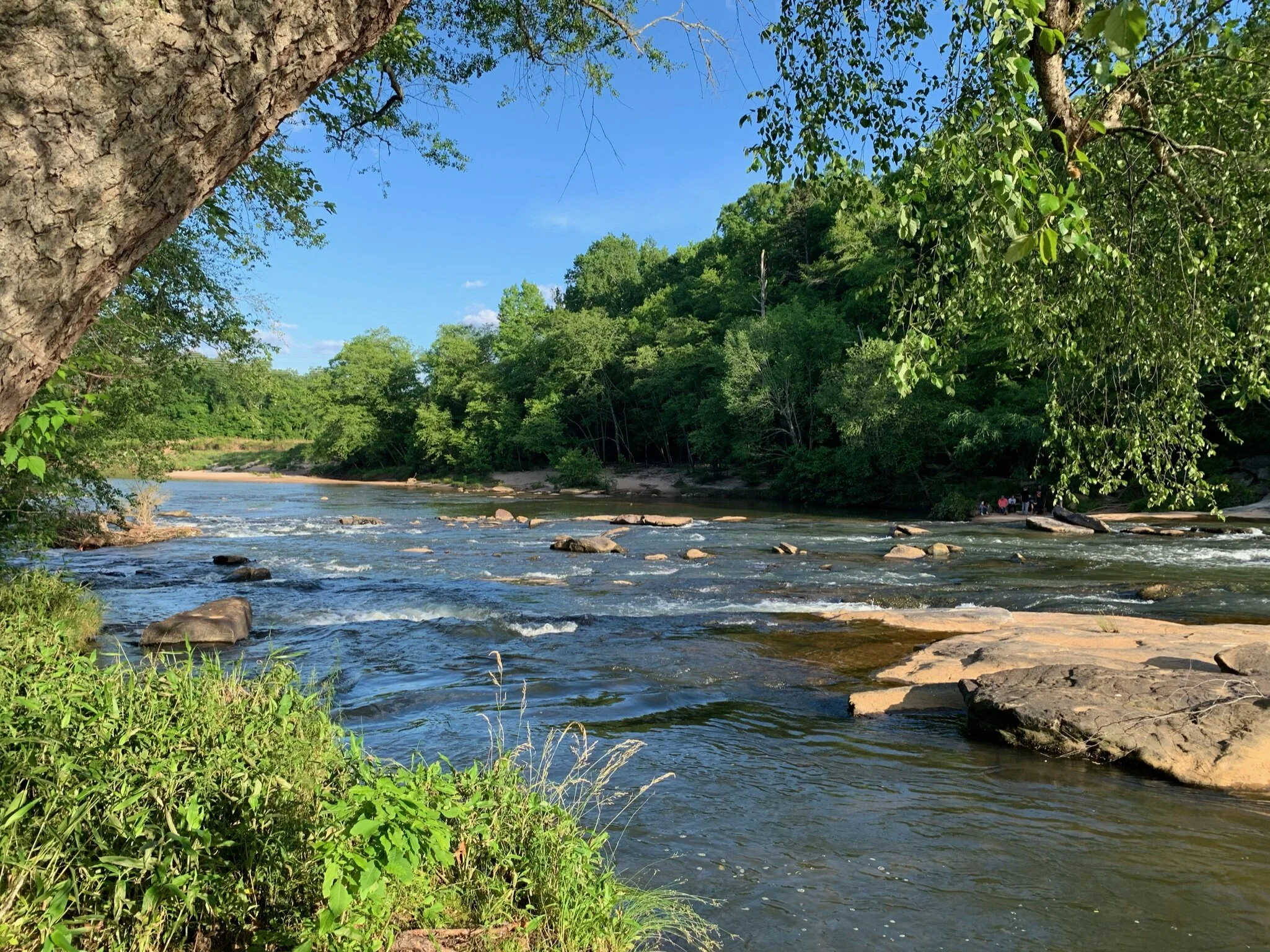 South River Cleanup @ Albert Shoals!