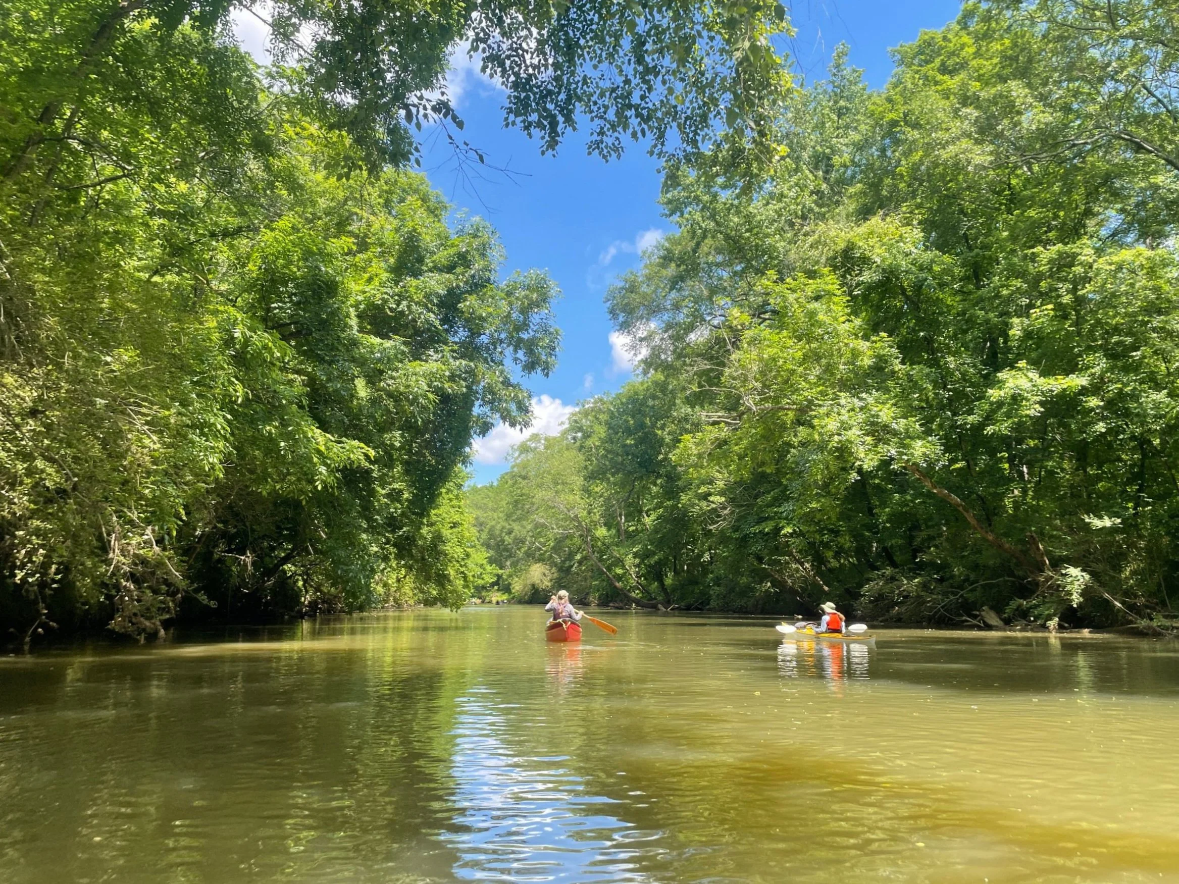 South River Paddle: Lorraine Park to River's Bend Park
