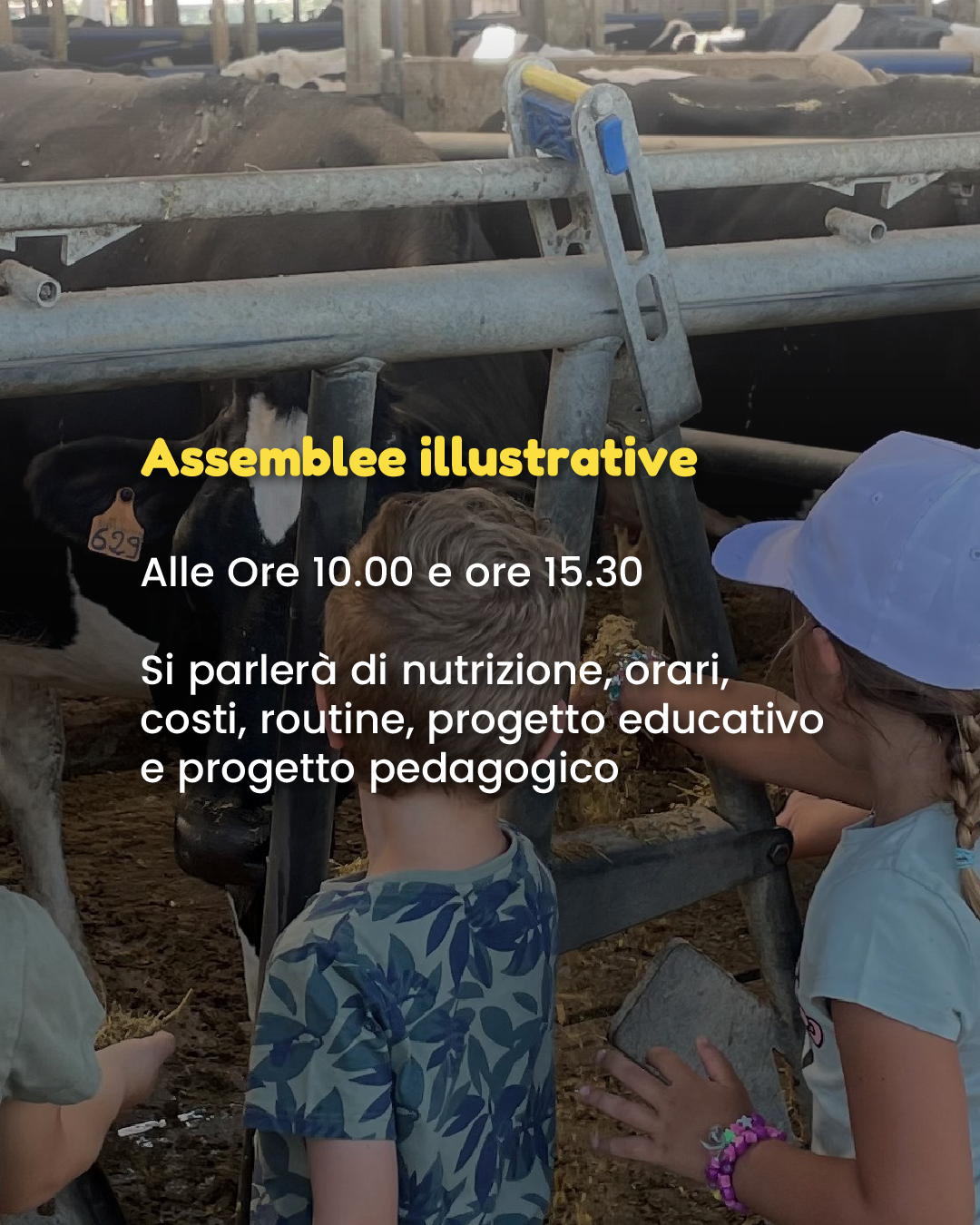 Tavola disegno 20.png