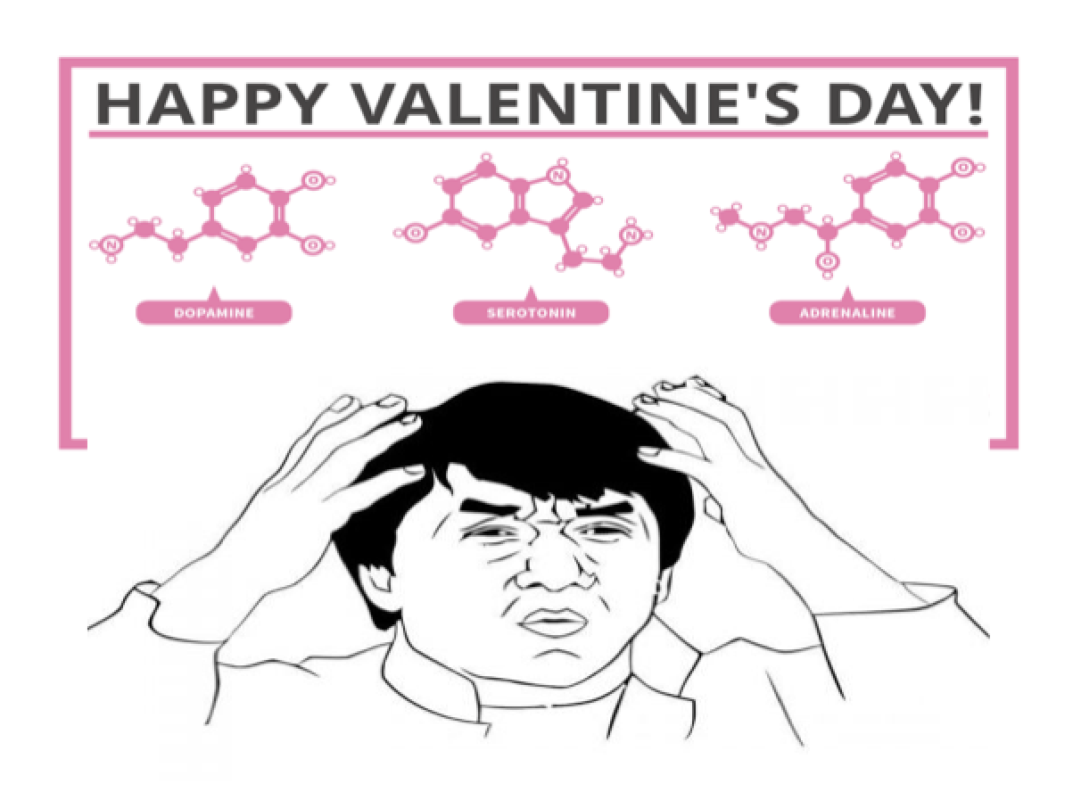 Screen Shot 2020-02-13 at 10.08.57 am.png