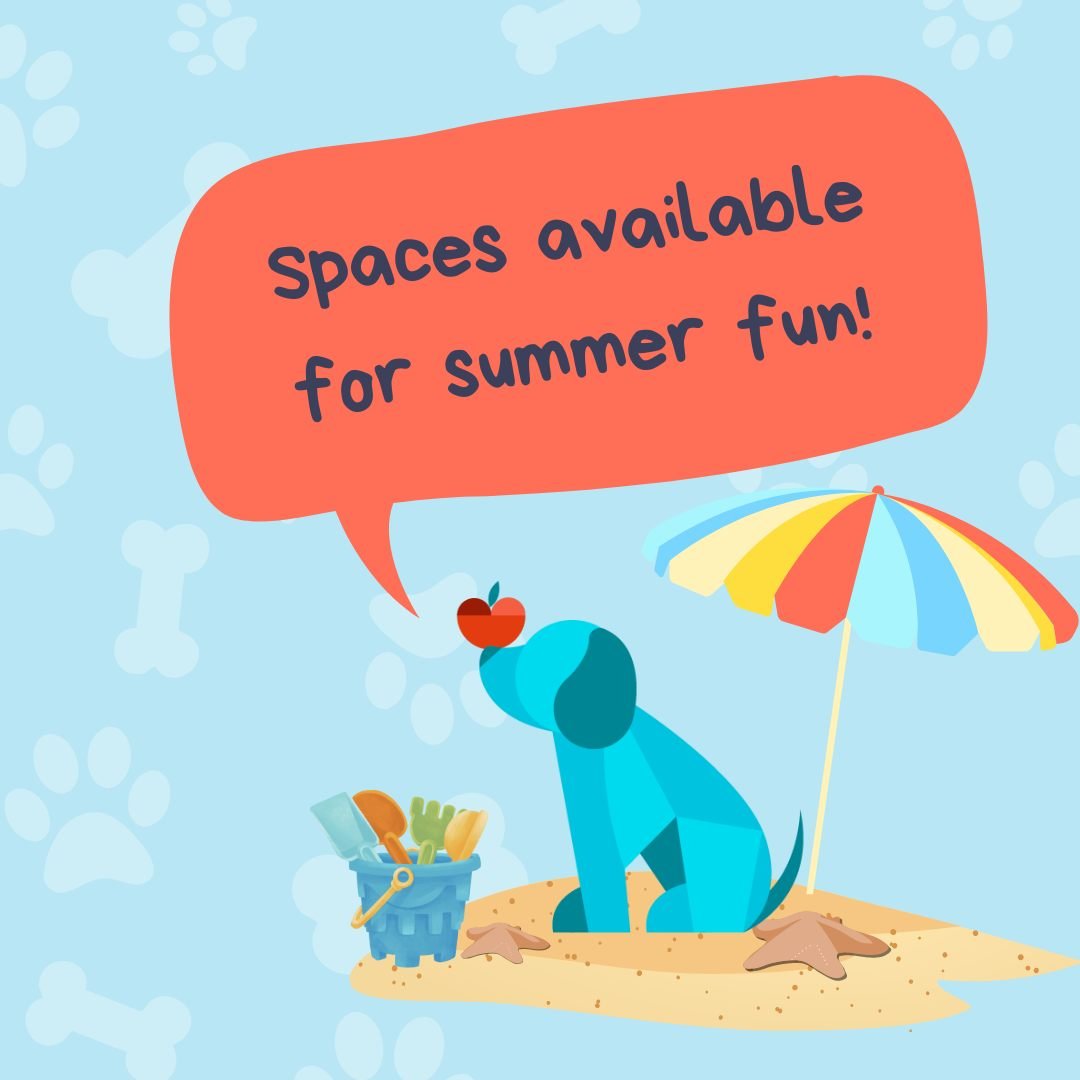 We know summer is a busy, fun-filled time, and we don't get it for long enough in Wisconsin! BUT! Don't forget your pup on these lovely evenings and afternoons! This time of year, it's important for our dogs to feel comfortable and confident during g