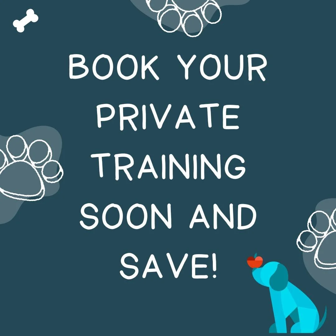 There will be a slight price increase to our private training sessions - but if you book soon you can save!  If you book your session before 4/1 (your session can take place after 4/1, you just need to book it beforehand) you can lock in our current 
