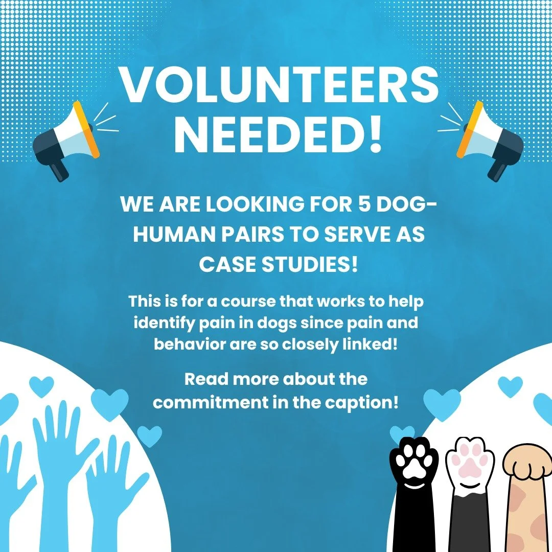 📢 We are looking for 5 volunteers to be case studies for a course I (Sarah) am taking.  I have been participating in a course called Dynamic Dog to become a Dynamic Dog Practitioner, and we are in the home run of the course and are now conducting ca